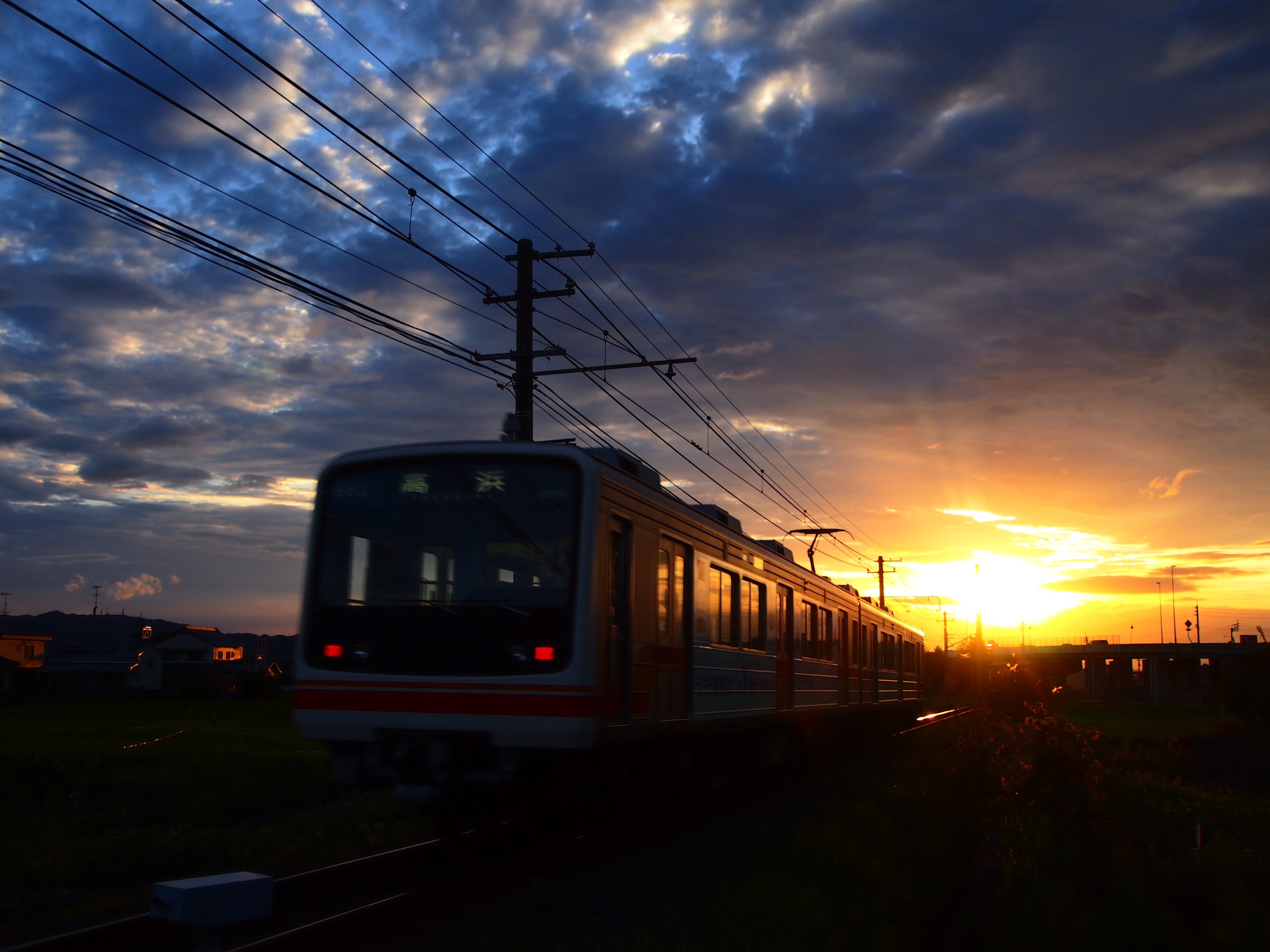 夕日に向かって