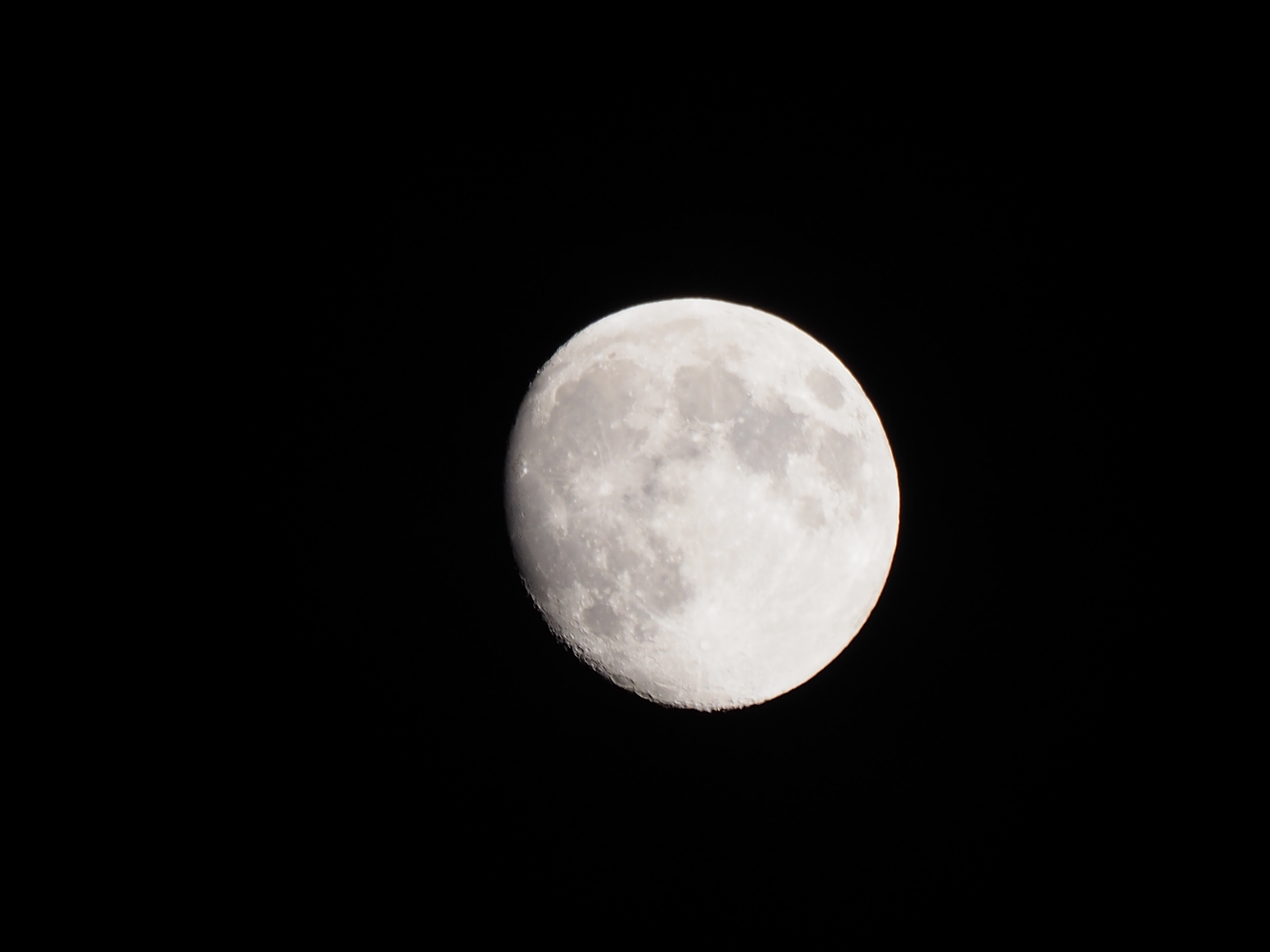 昨夜の月