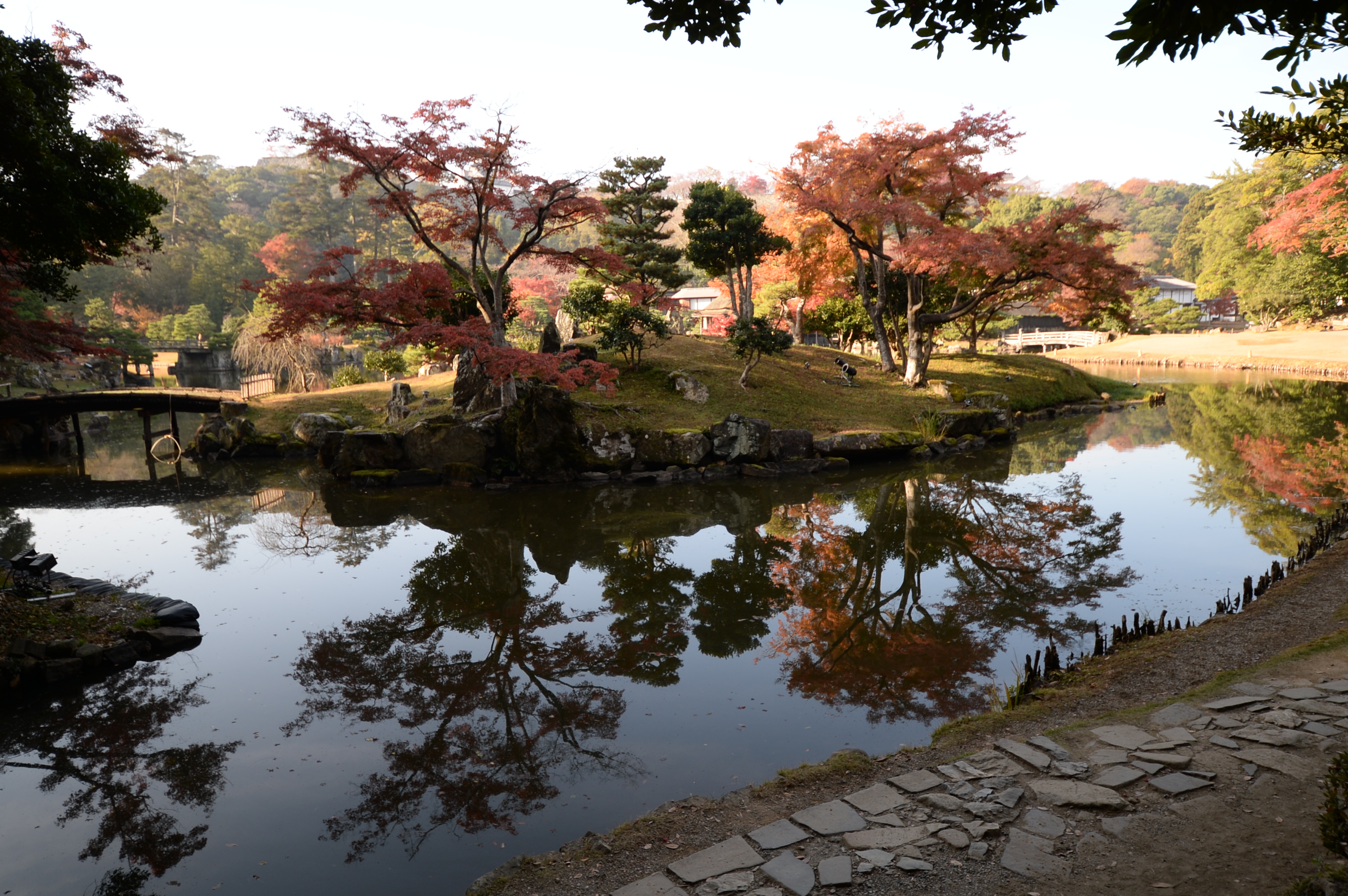 彦根の紅葉