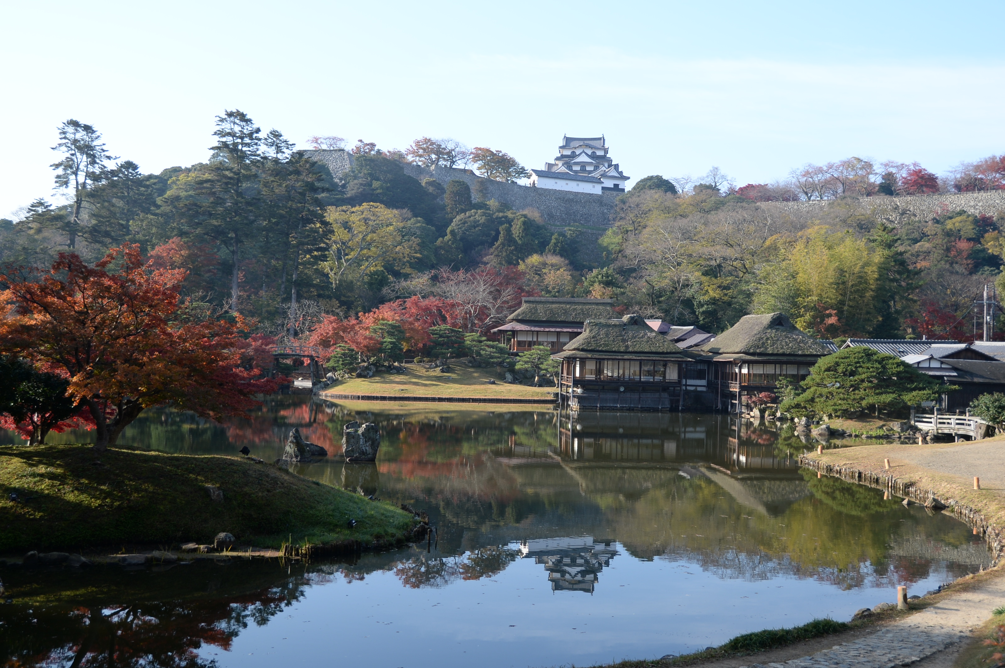 彦根の紅葉
