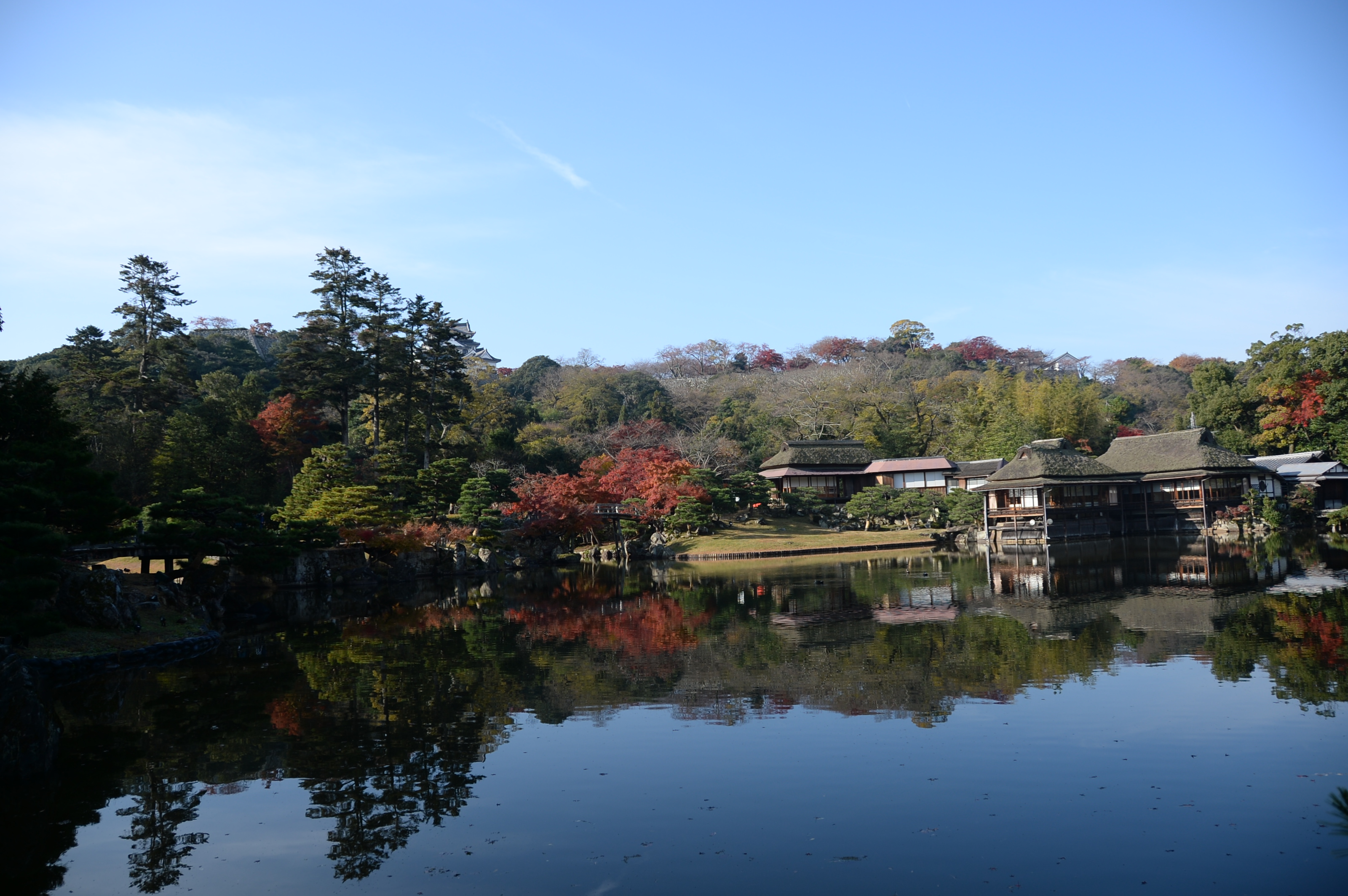 彦根の紅葉