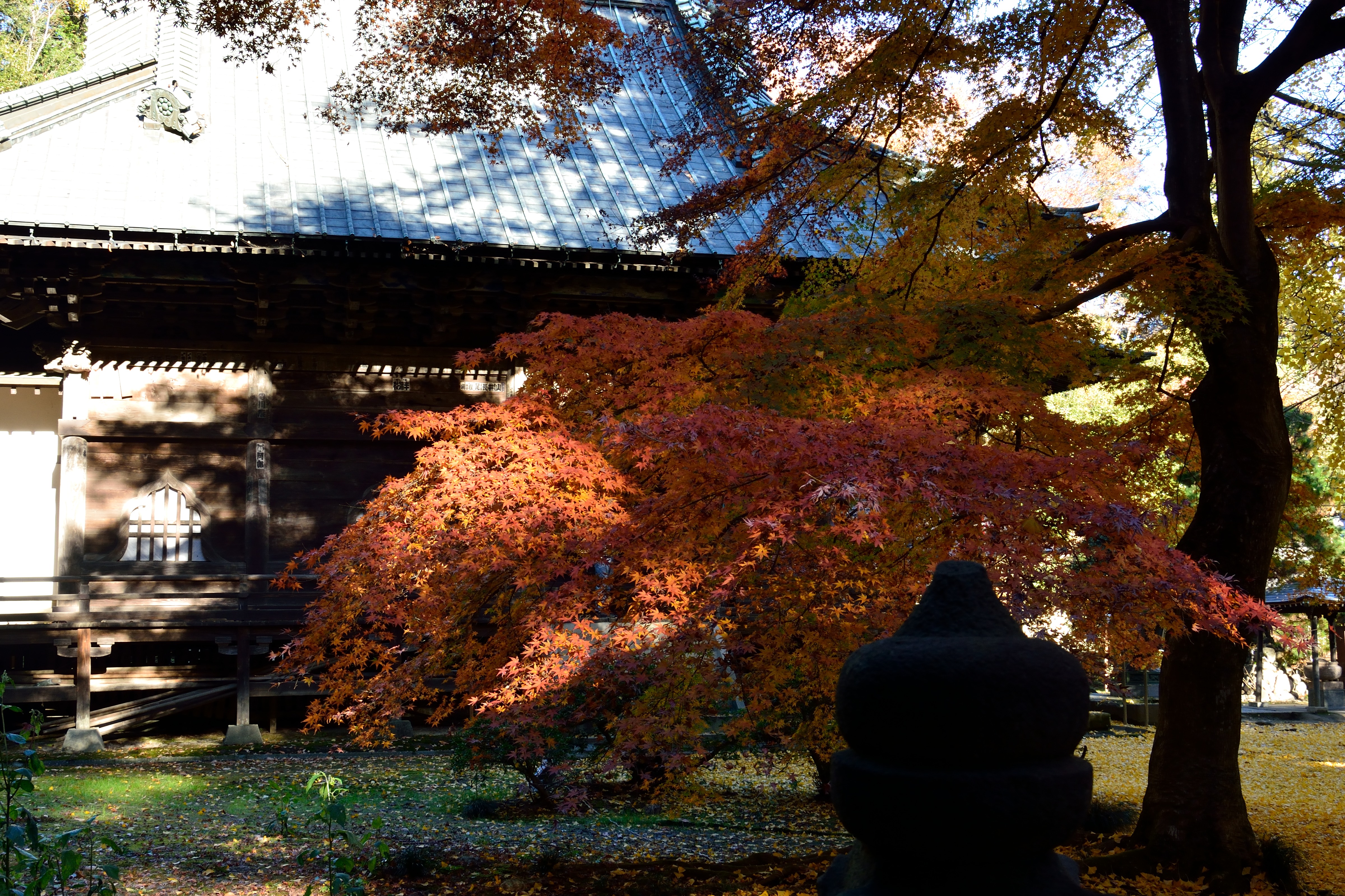 岩殿観音の紅葉