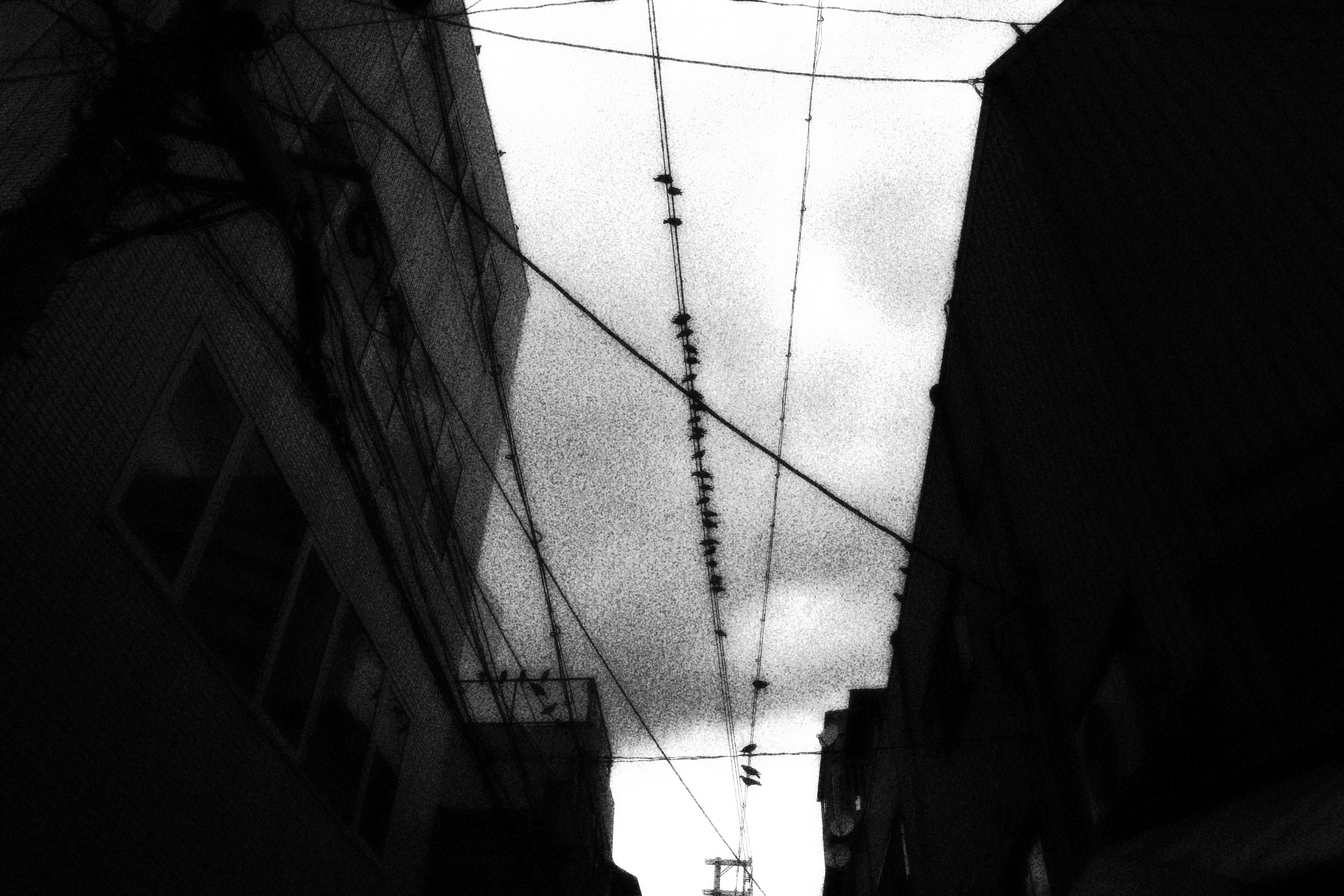 電線