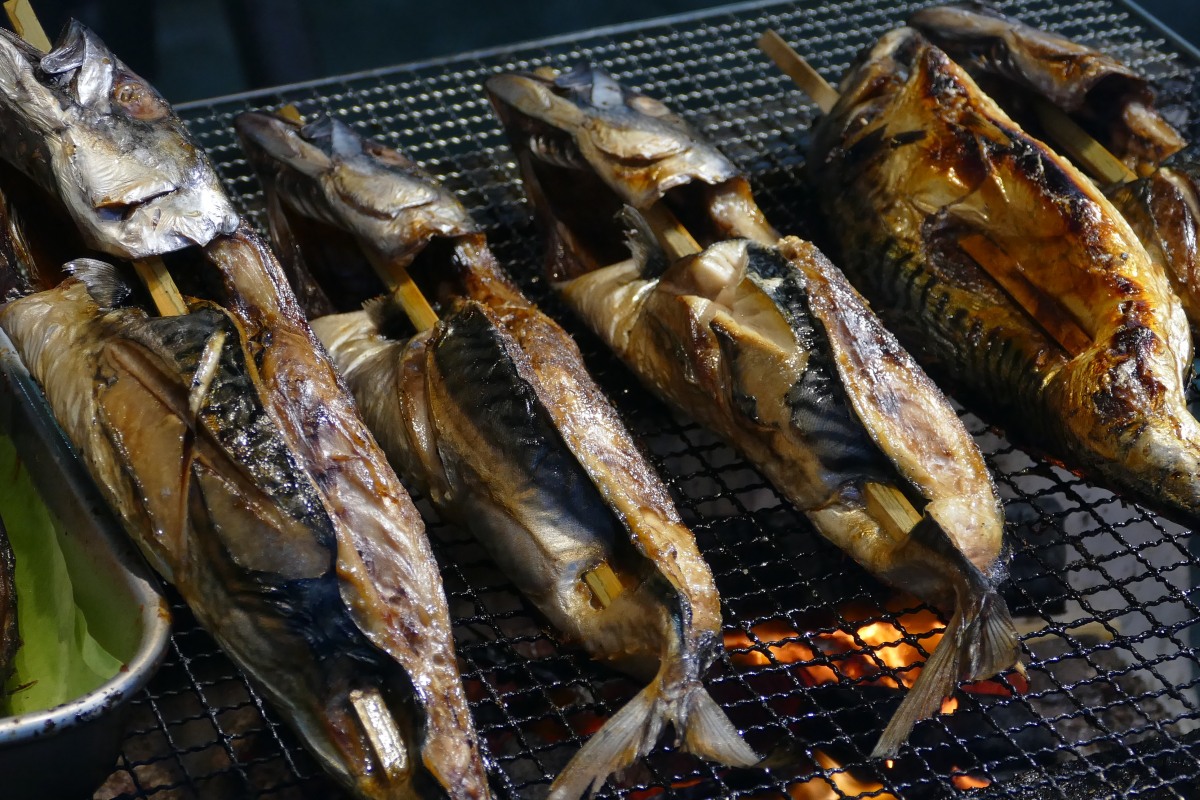 サバの炭火焼き、おいしいよー