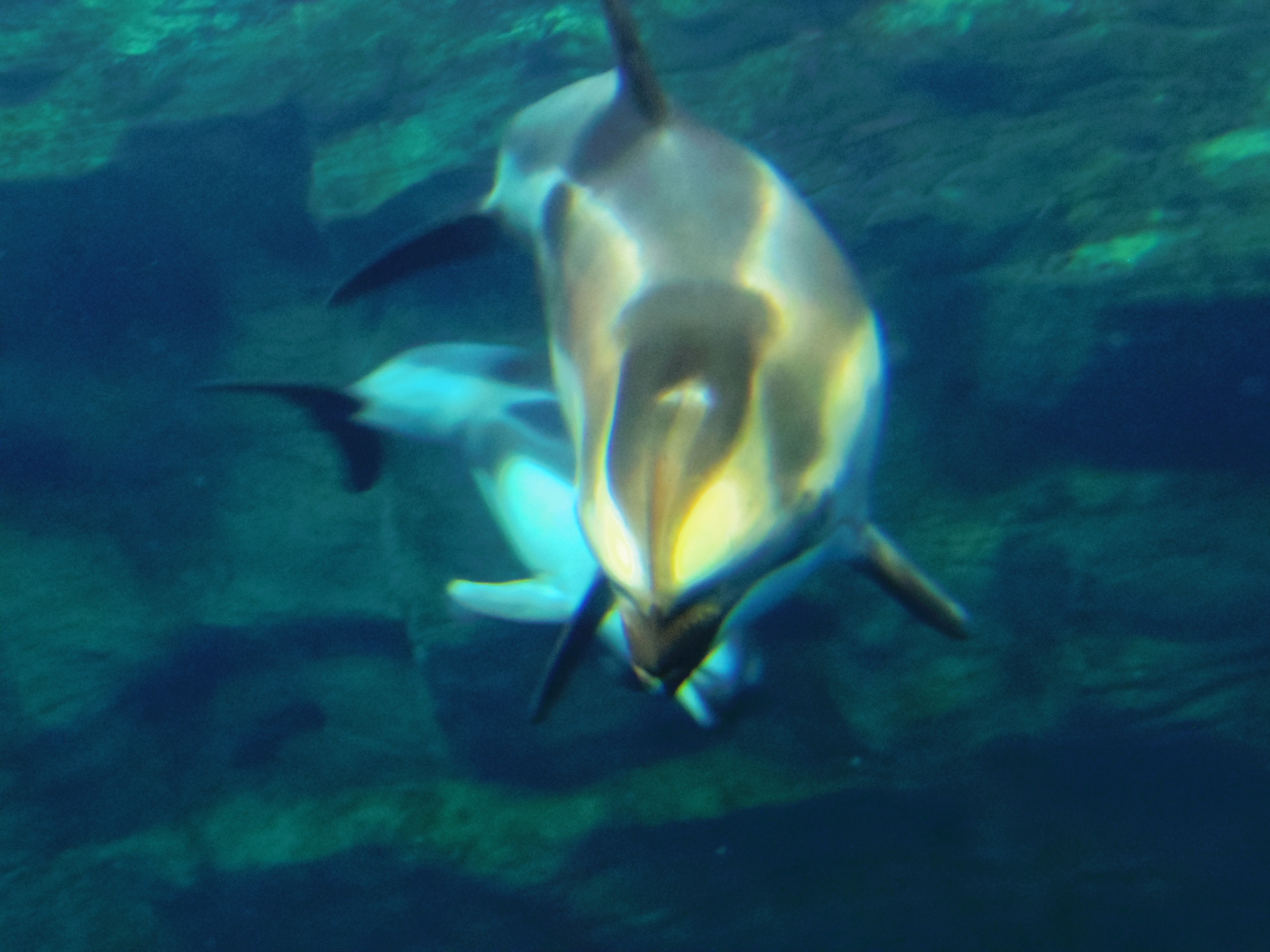 親子
