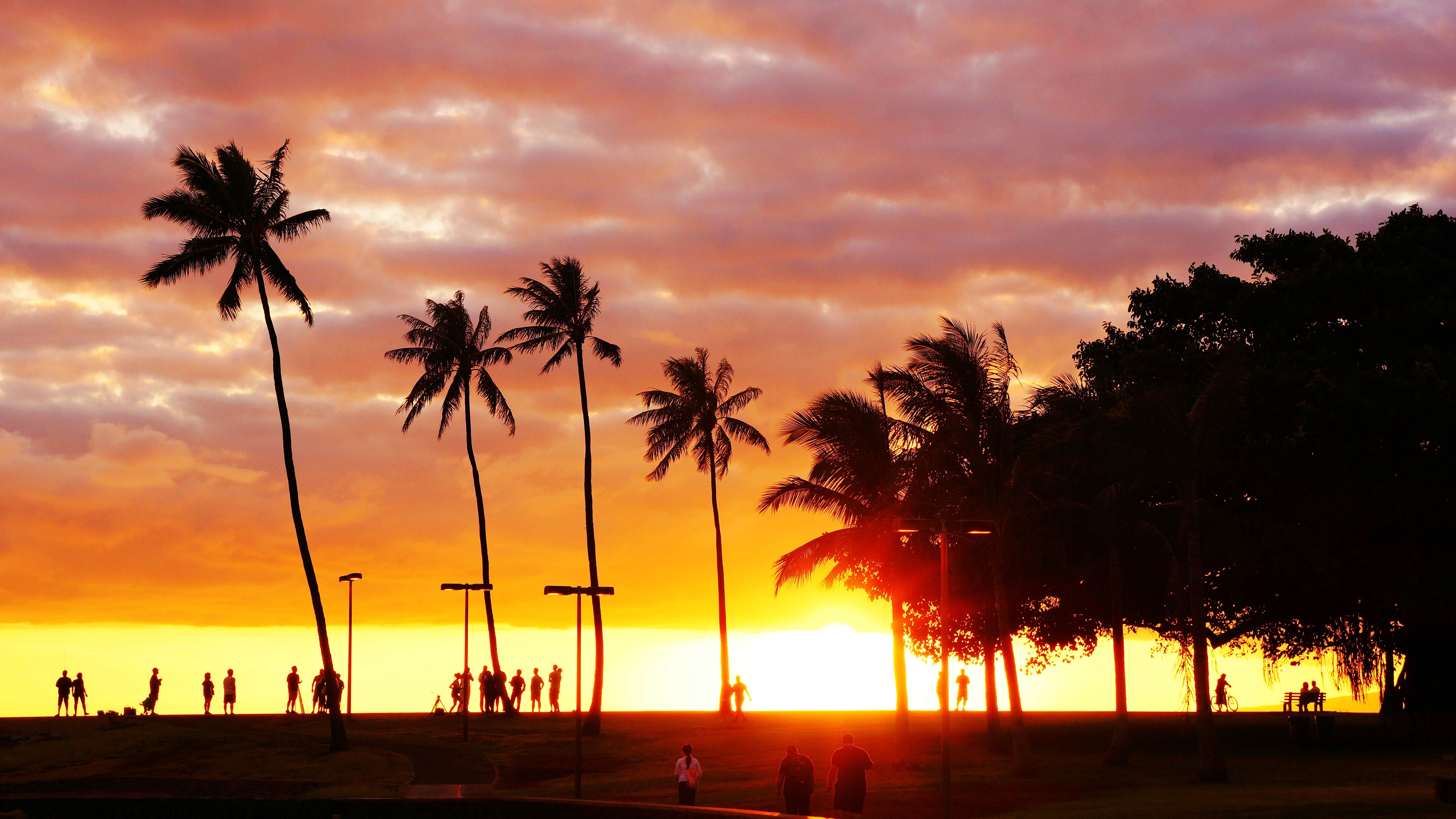 THE SUNSET