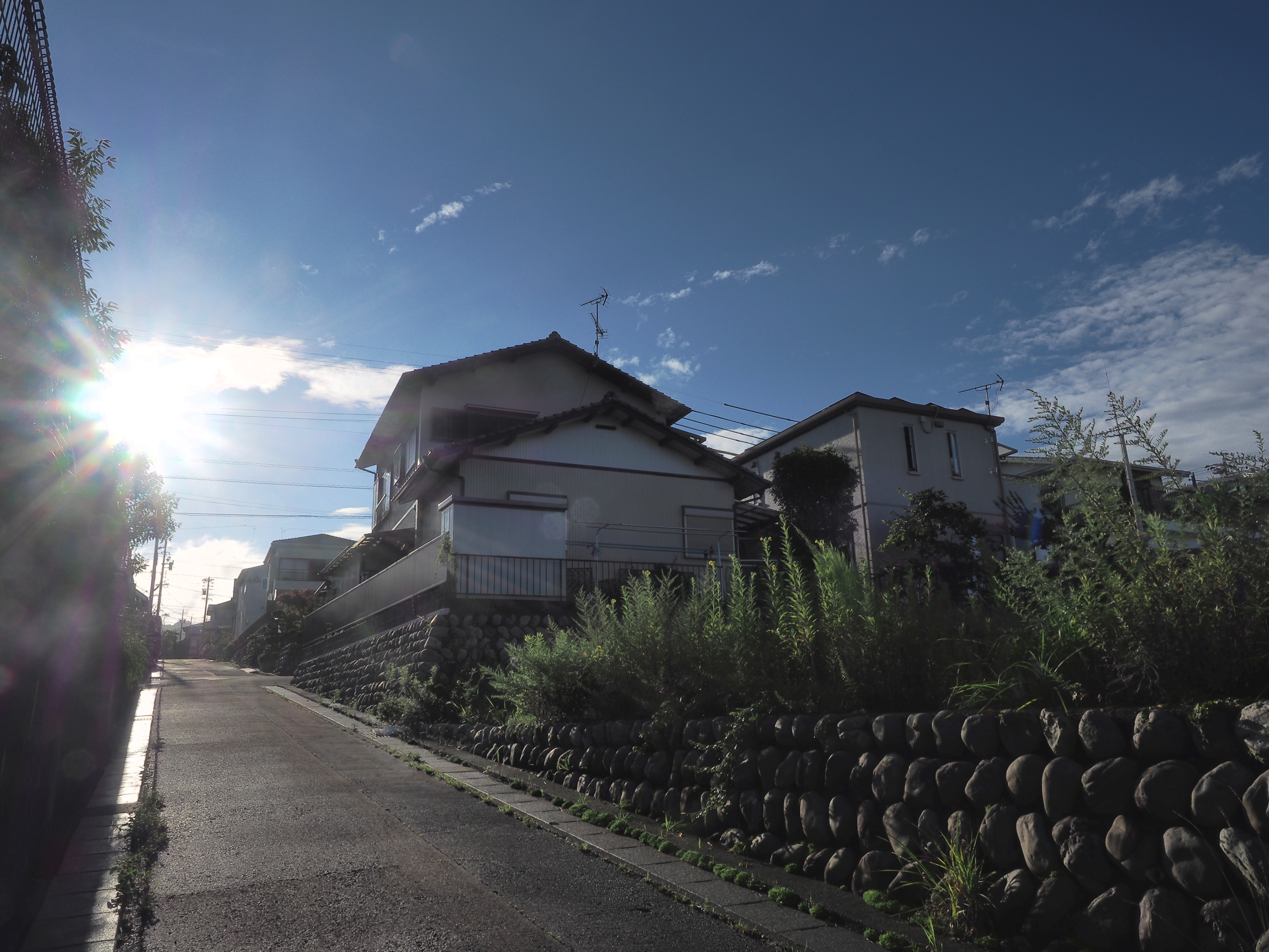 朝日