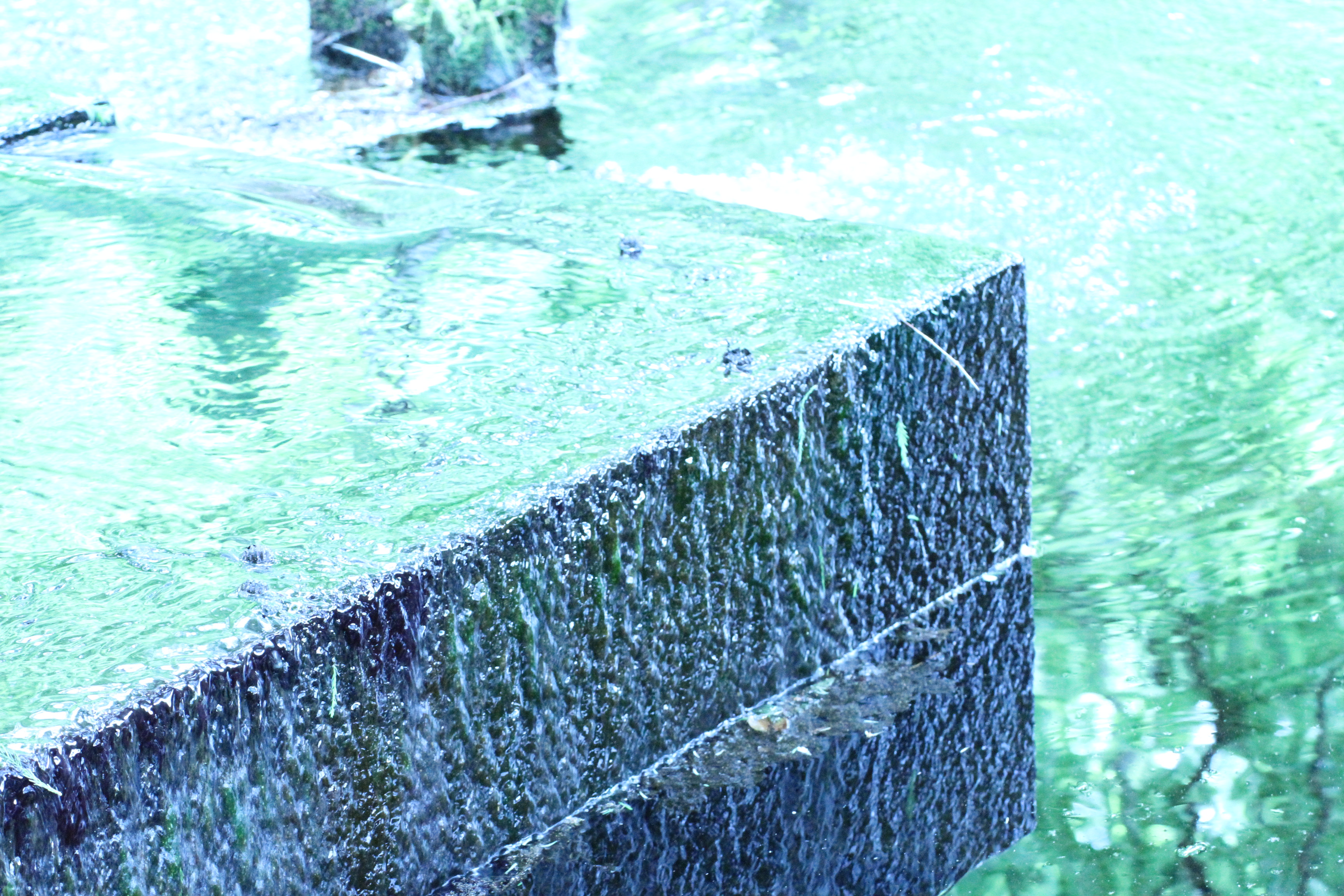 水面反鏡(湧き水)
