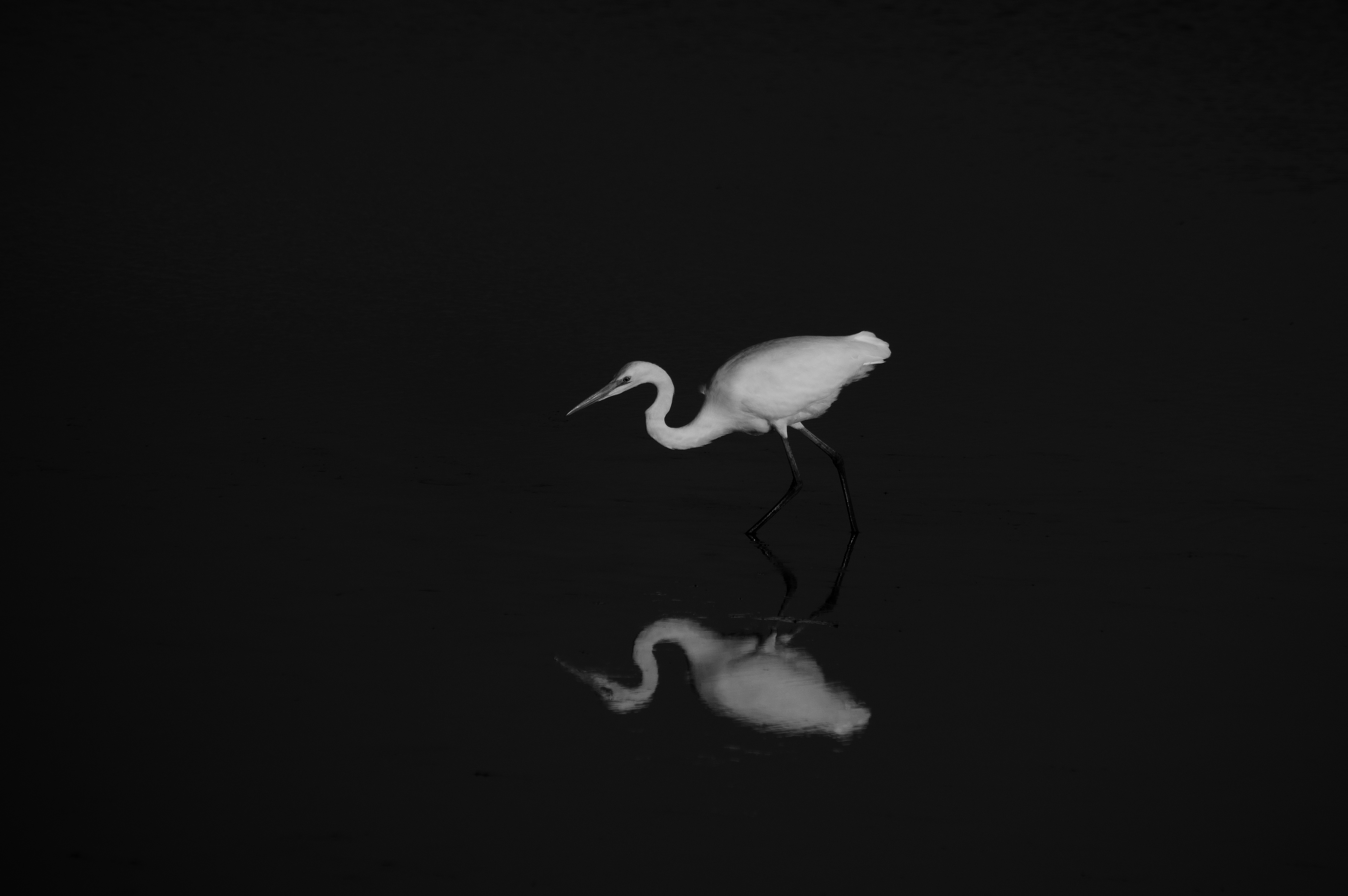 synchronize