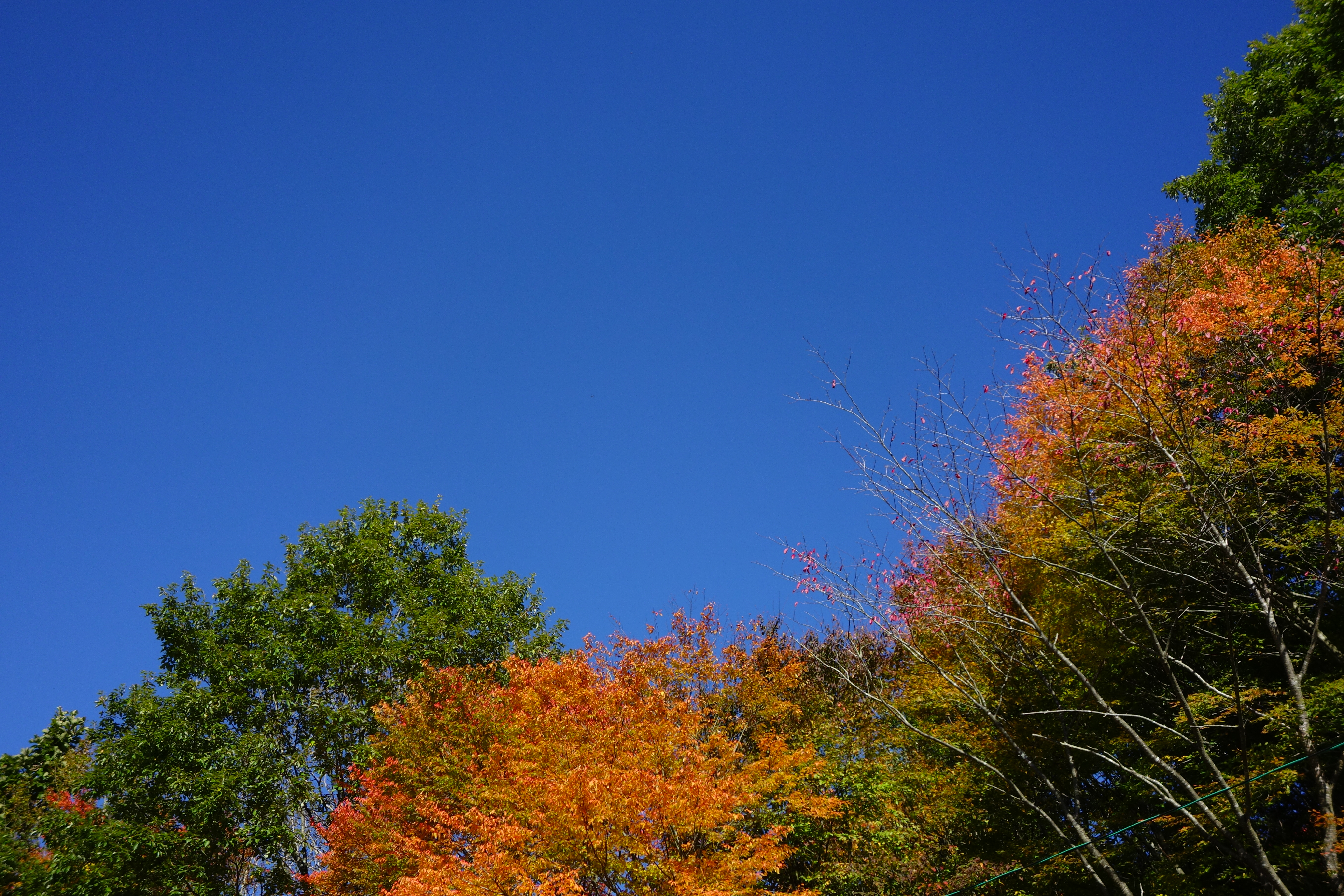 秋空