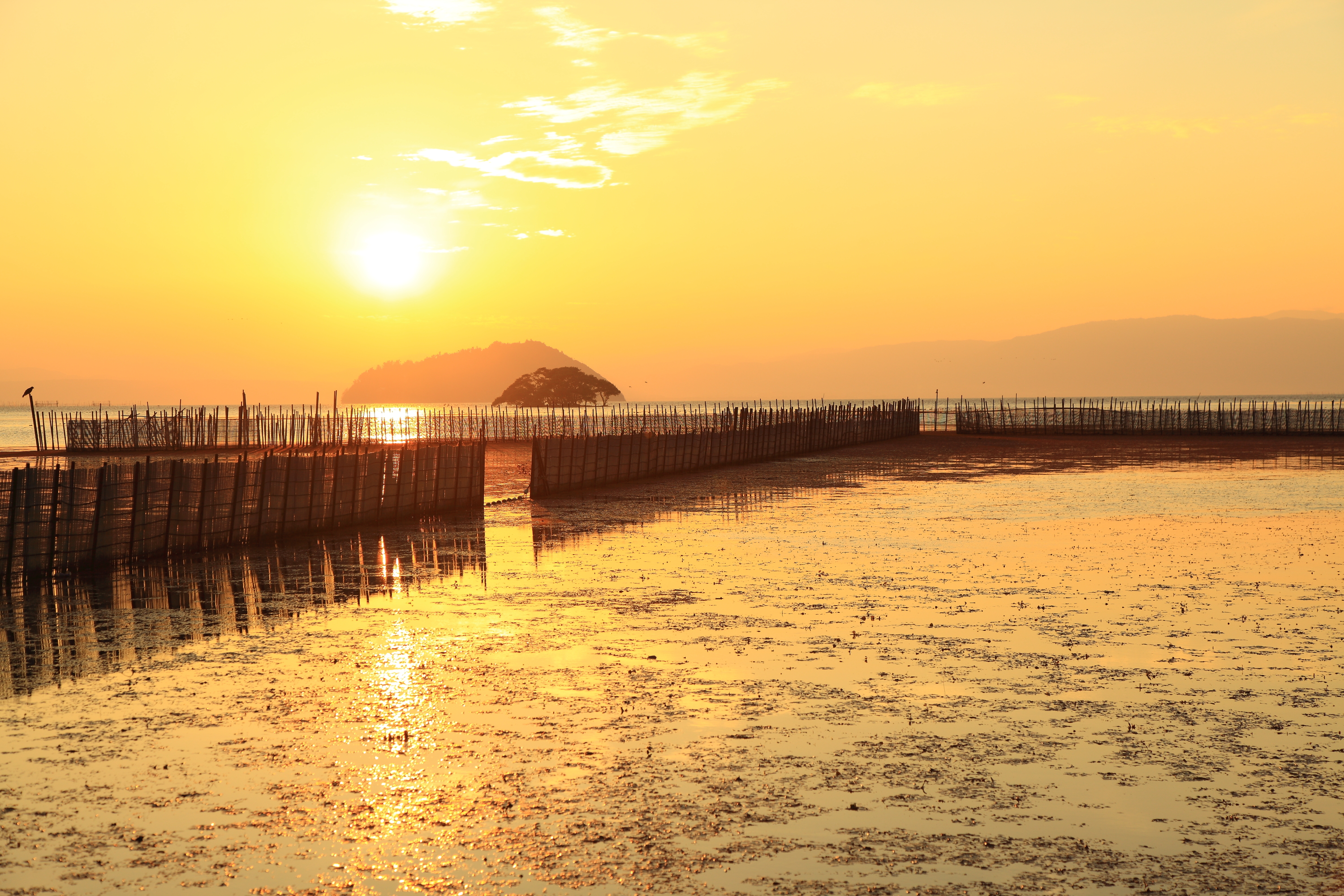 エリと夕焼け