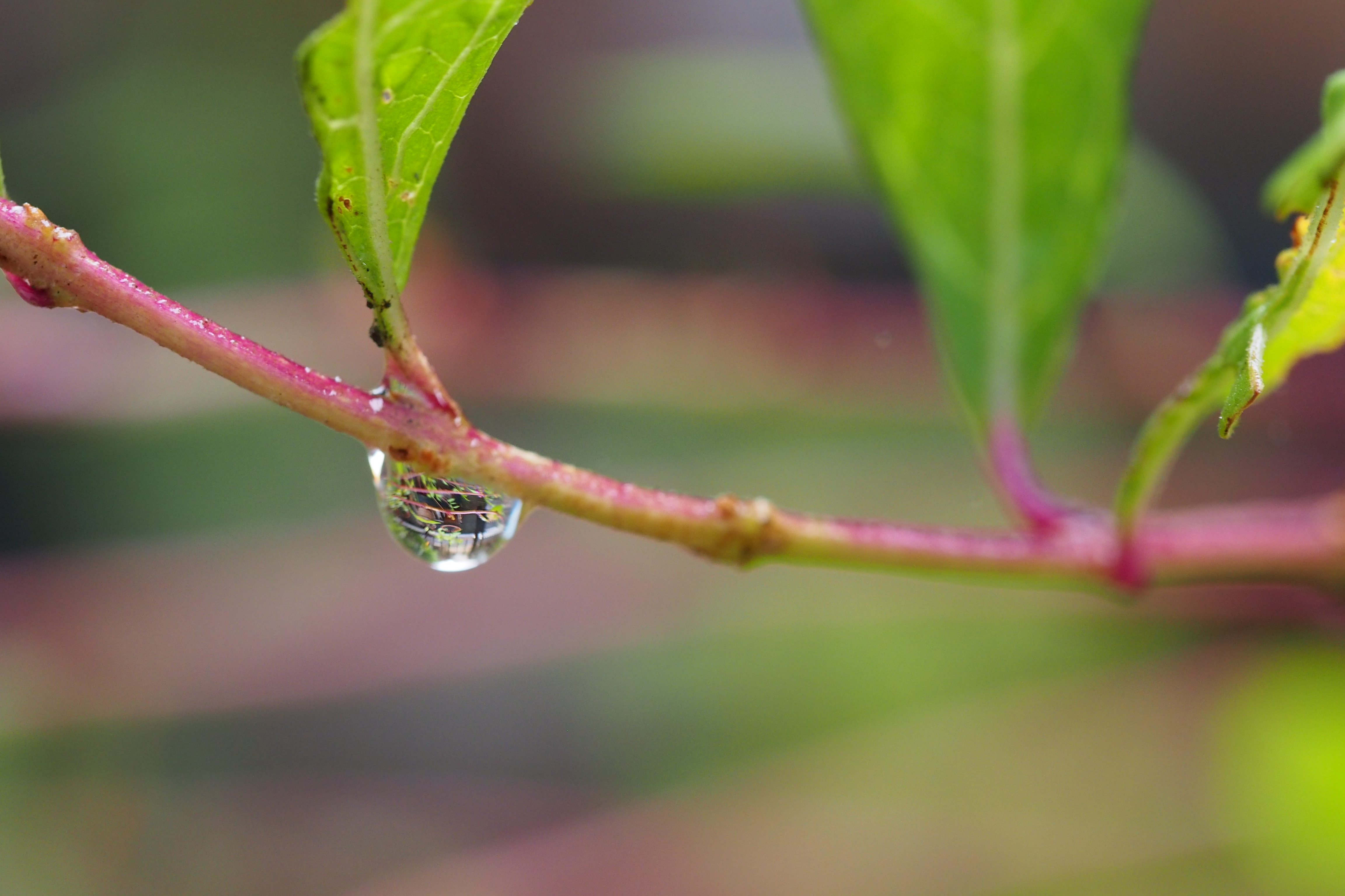 雨の日 その1