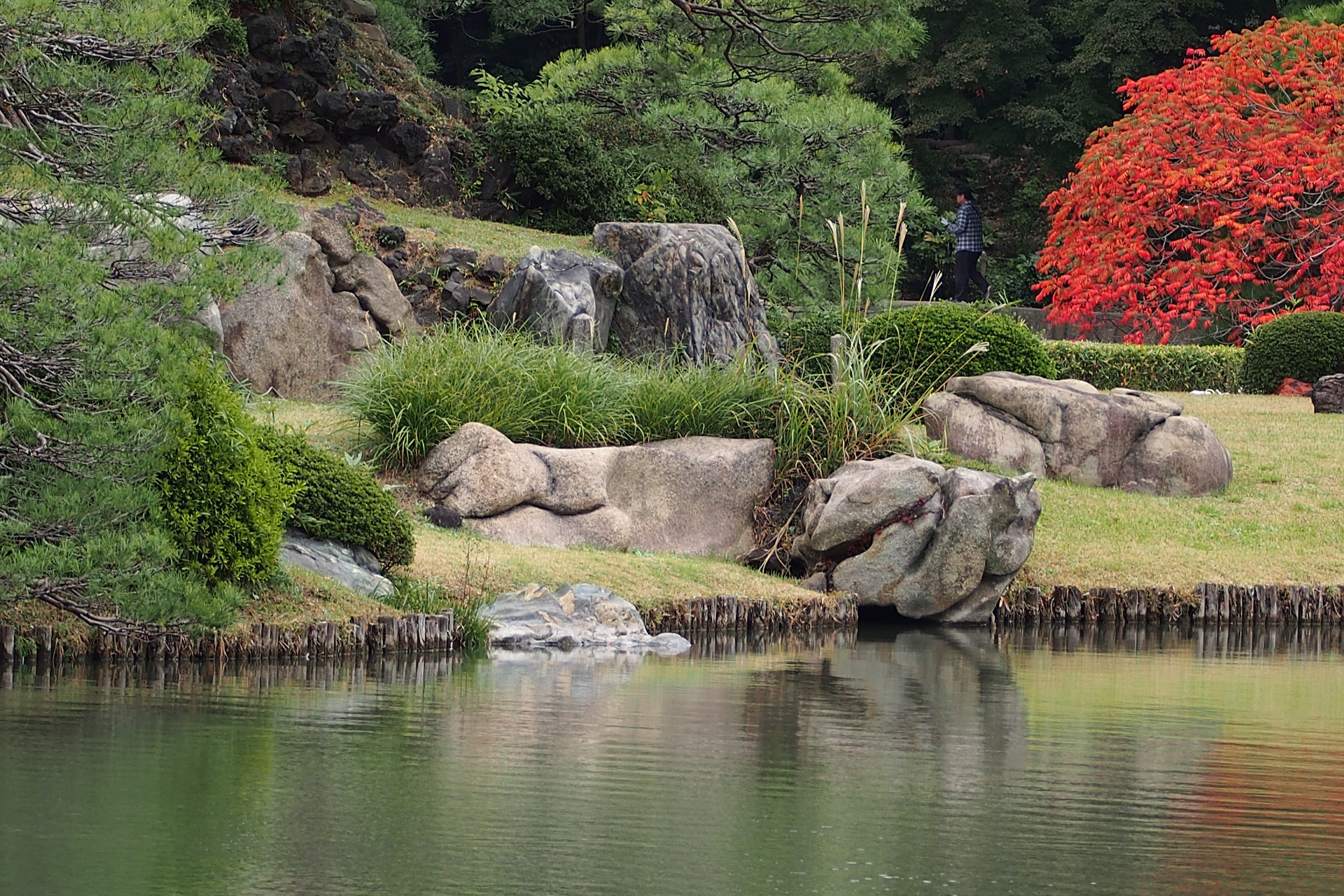 秋の六義園