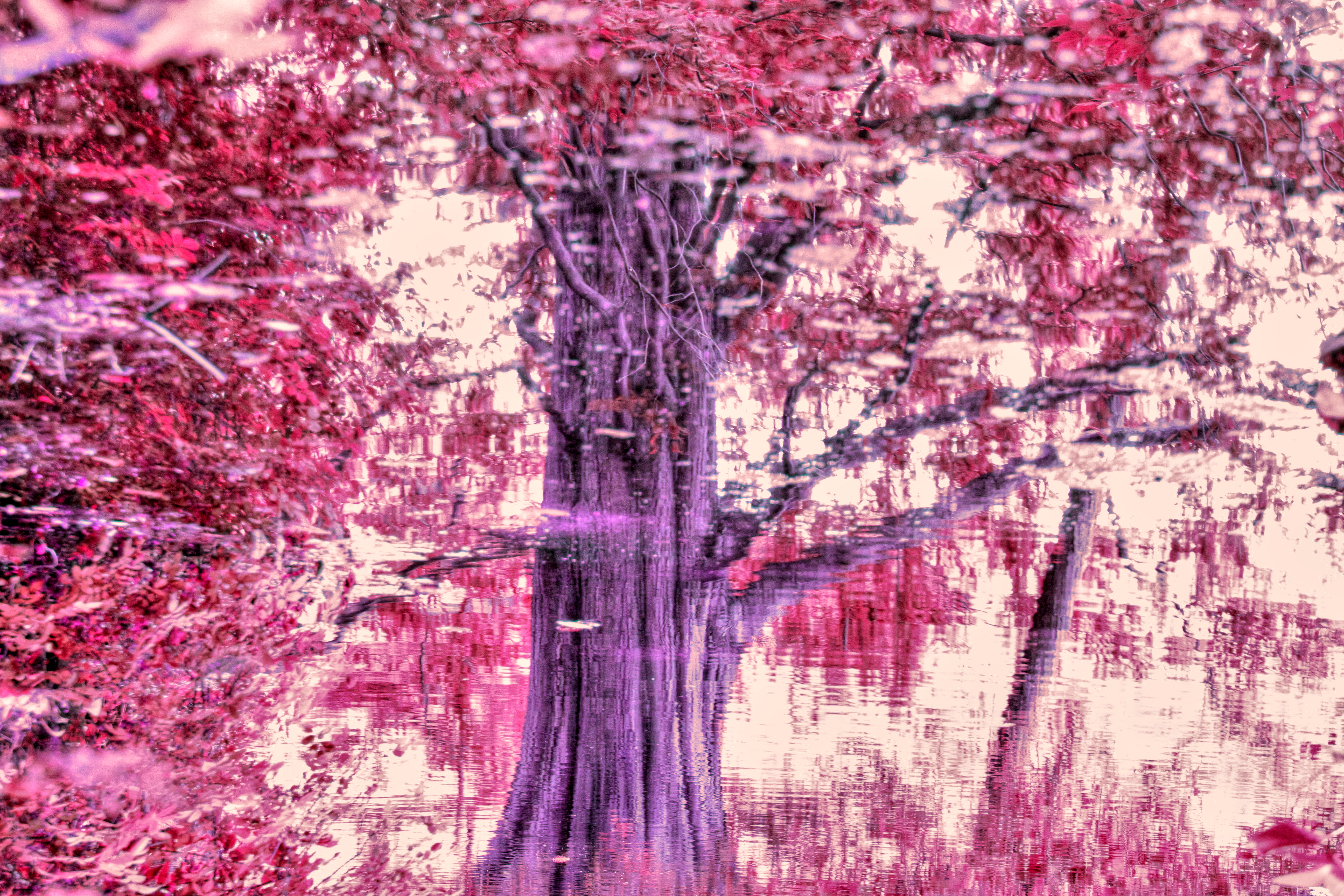 ウォーターワールド