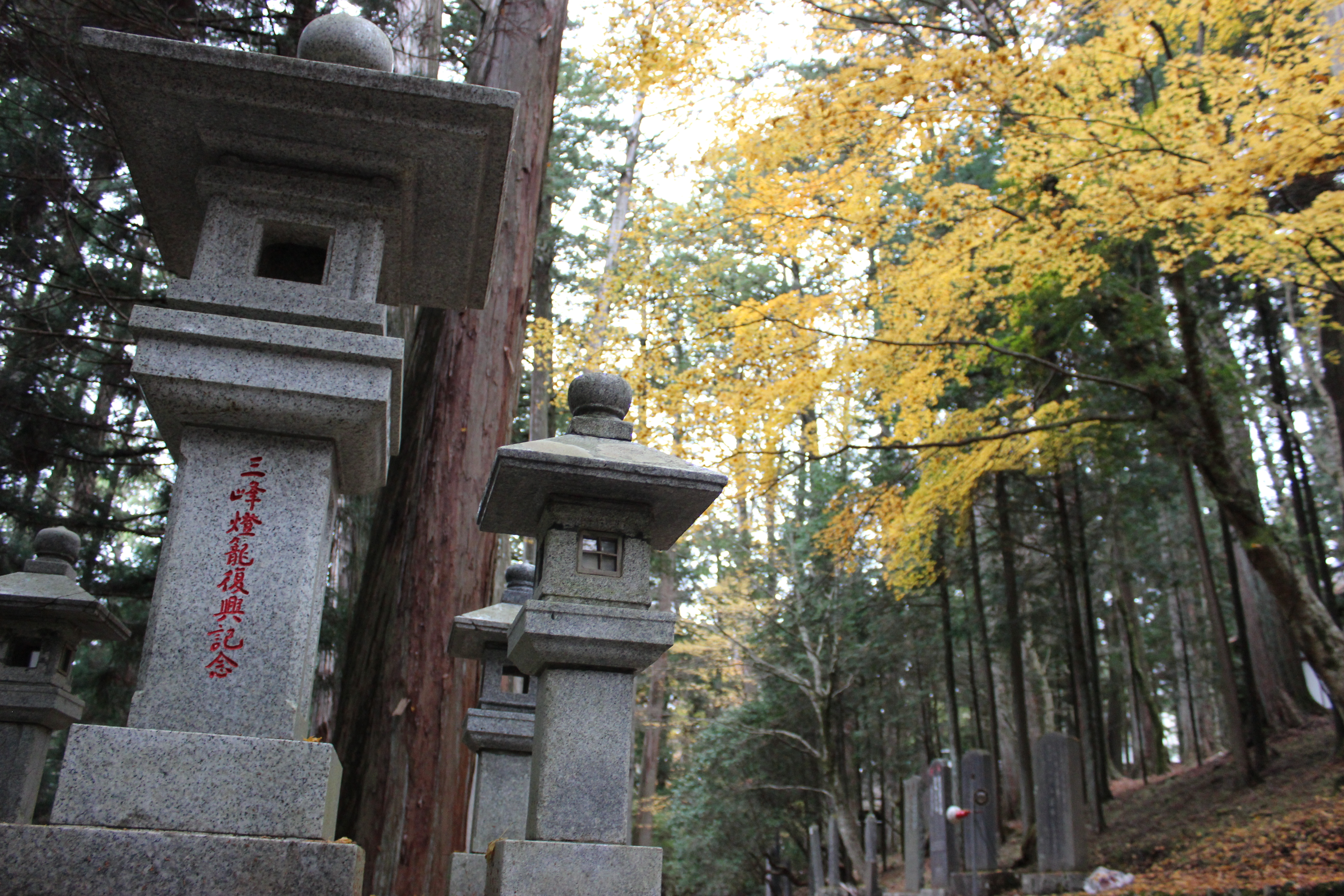 古参道