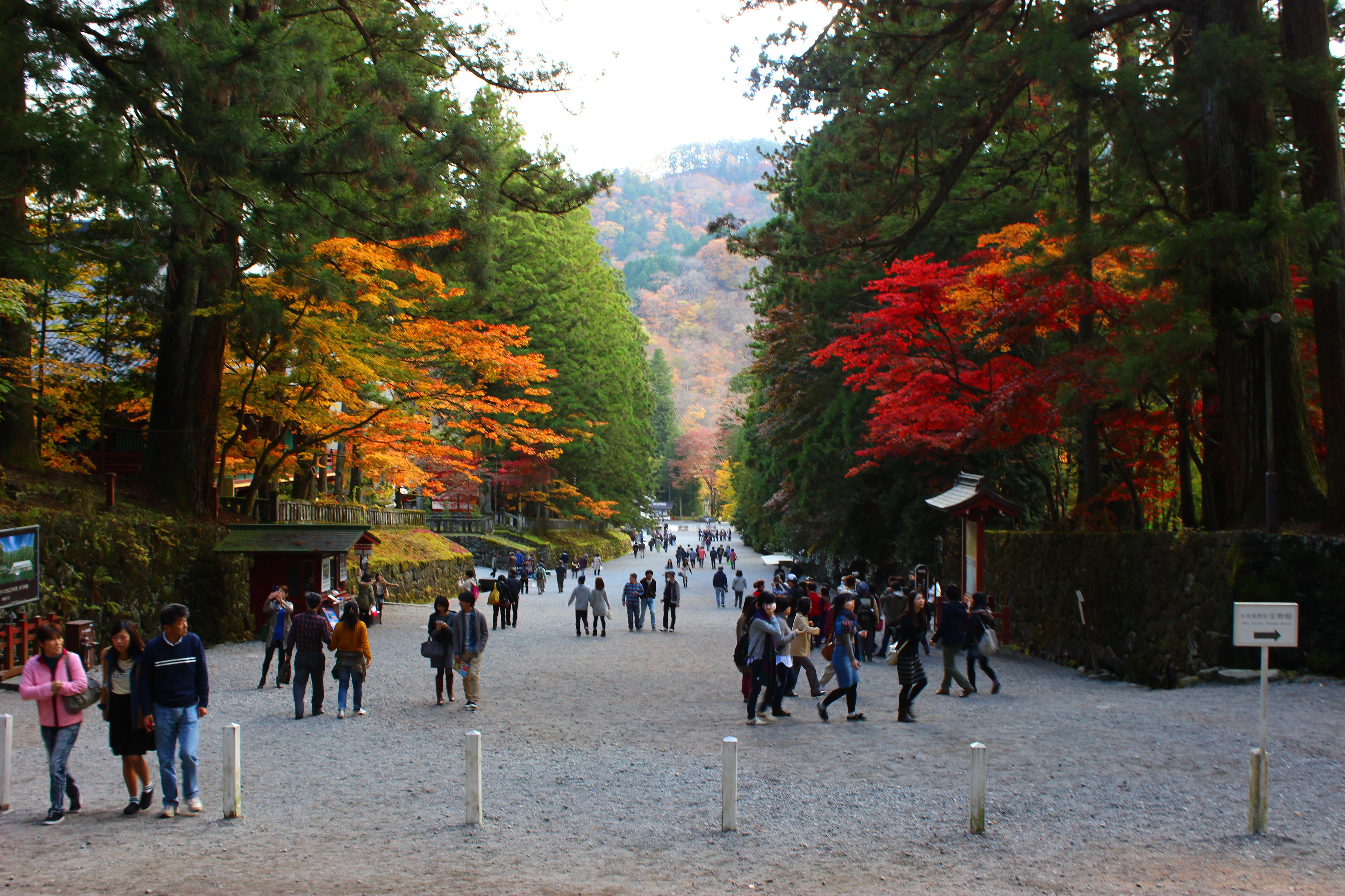 紅葉狩りシーズン