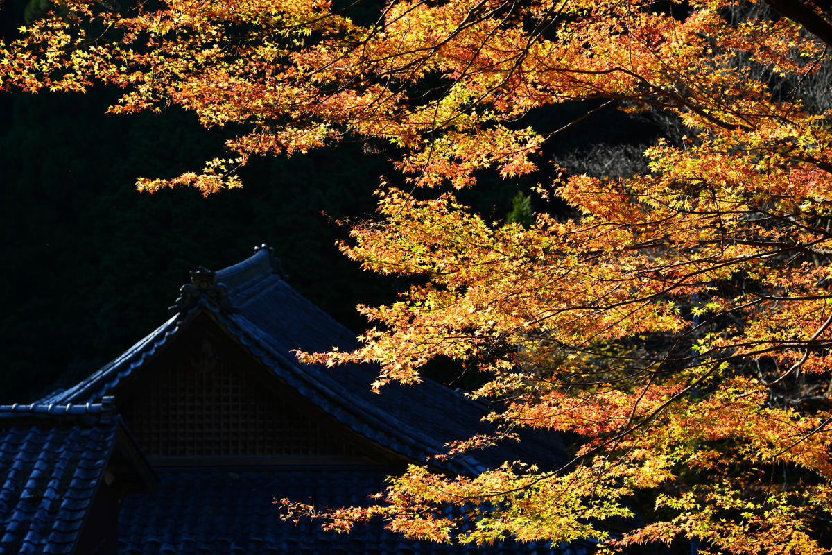 山寺の雅