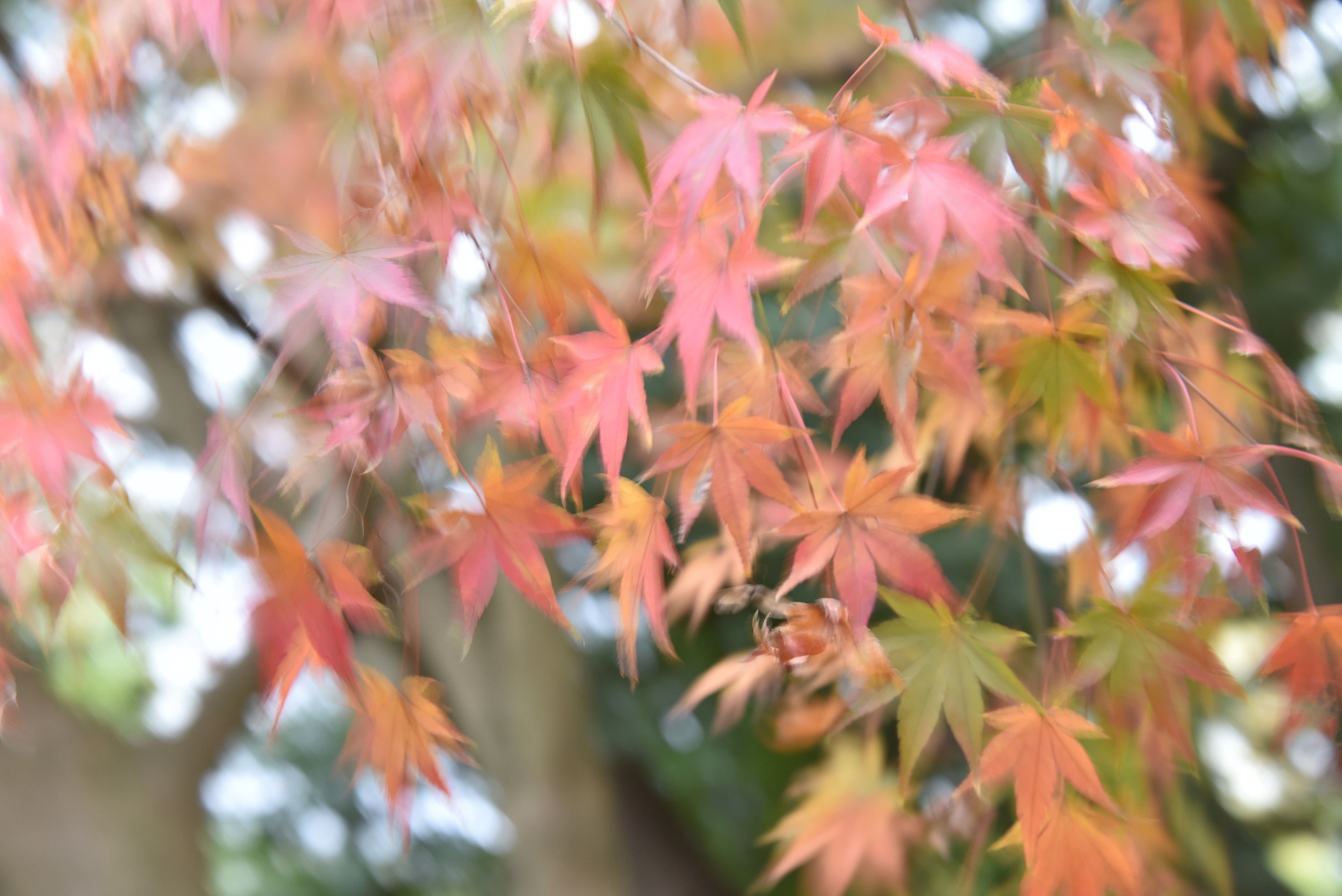 揺れて・・