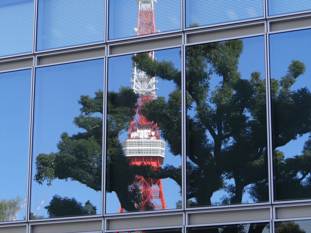 ーワタ京東