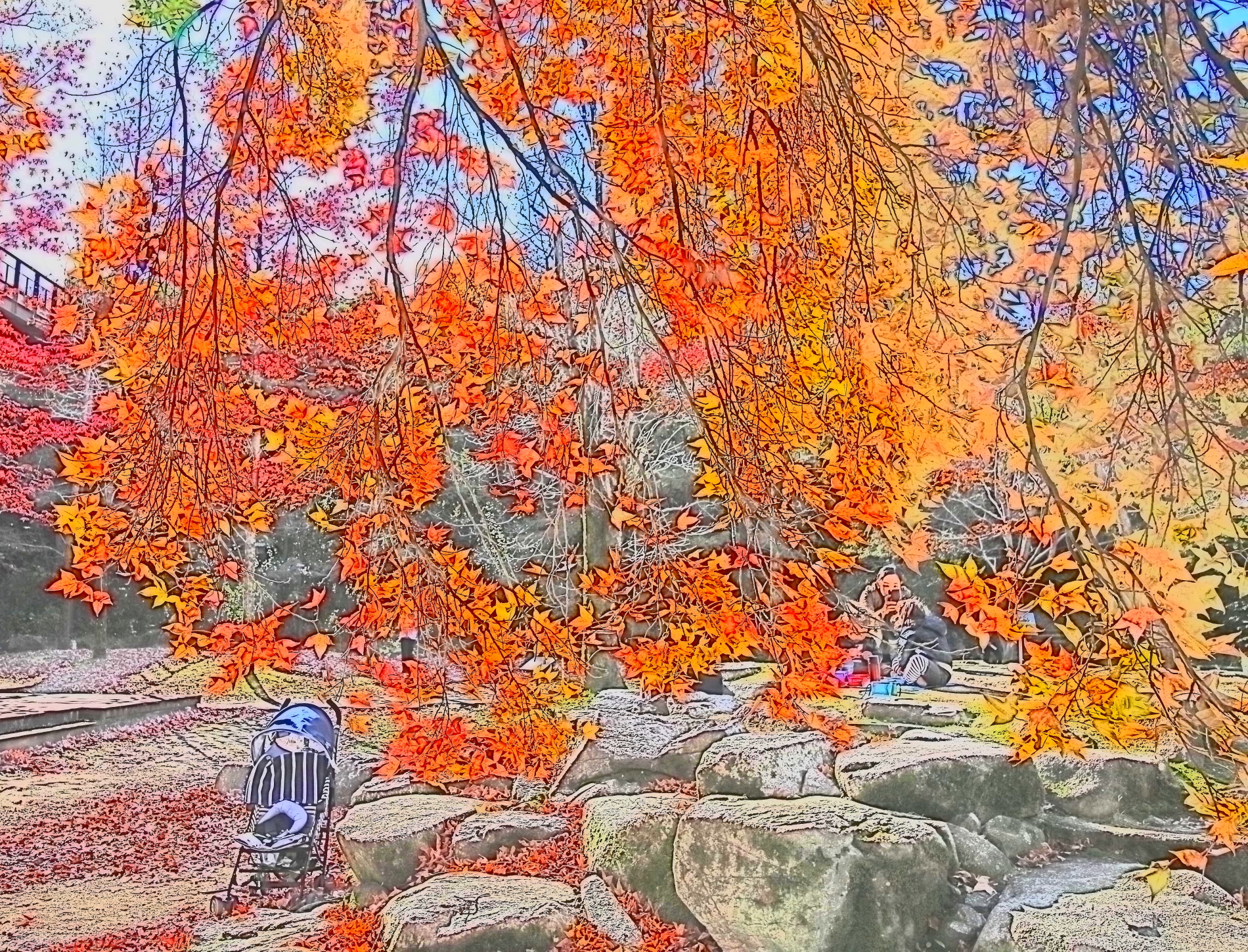 タイワンフーの紅葉