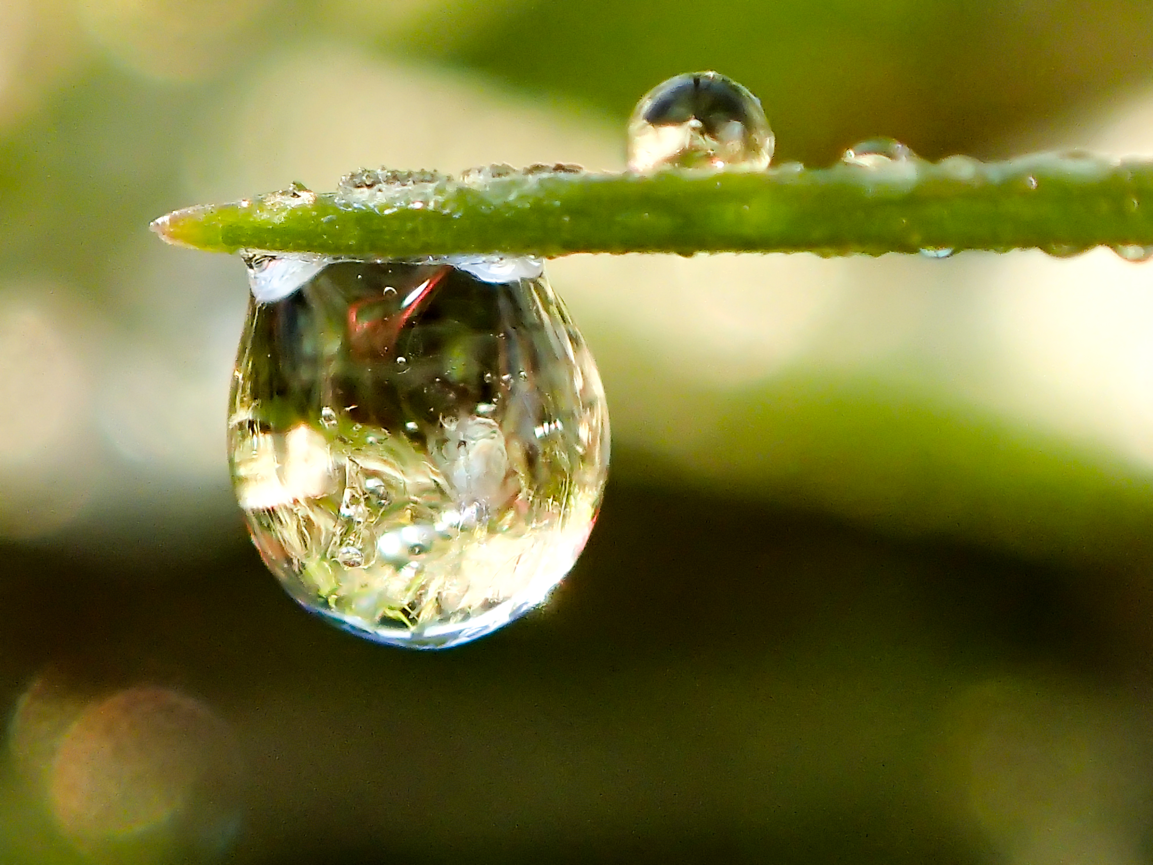 溶け行く露氷