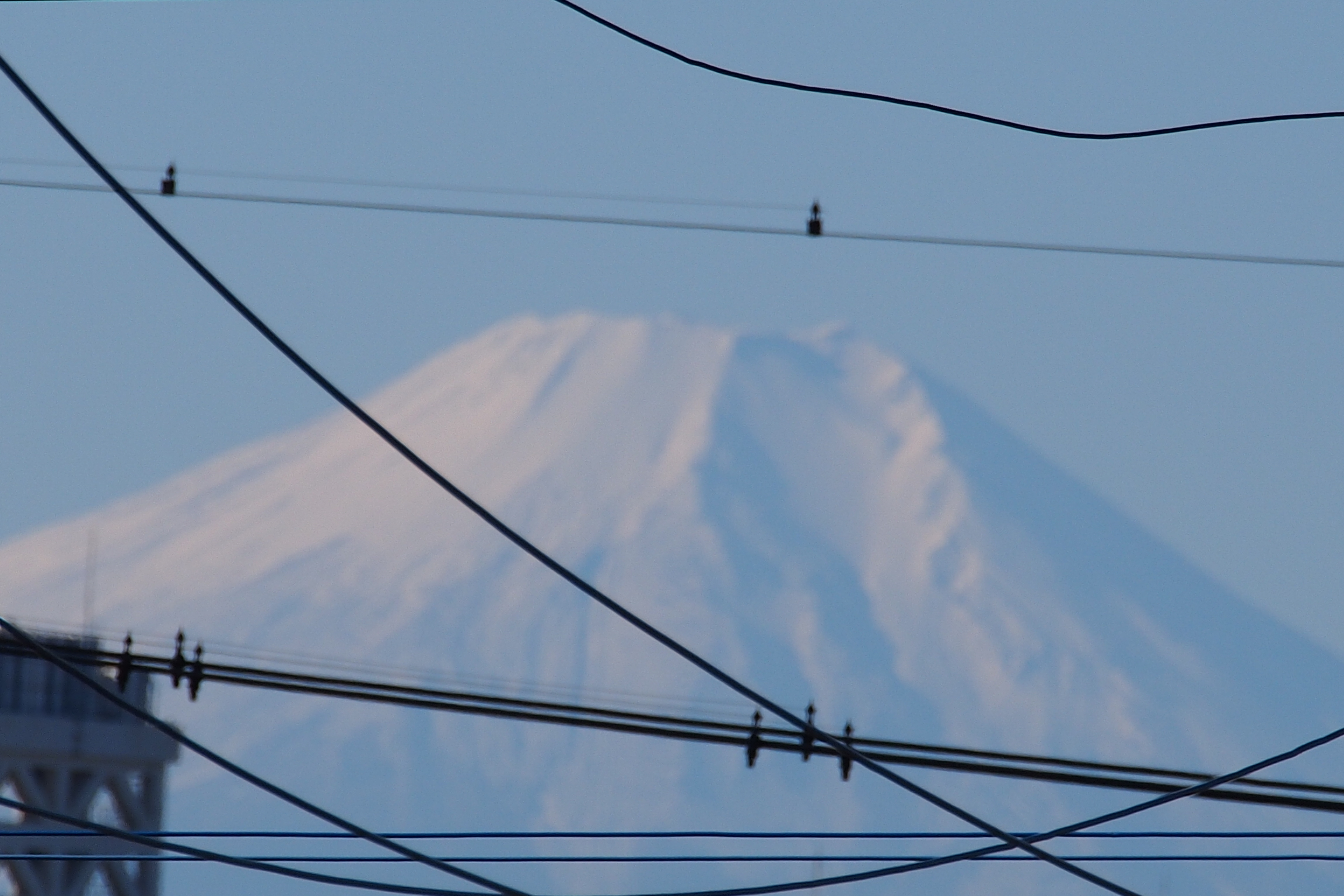 真っ白な富士山