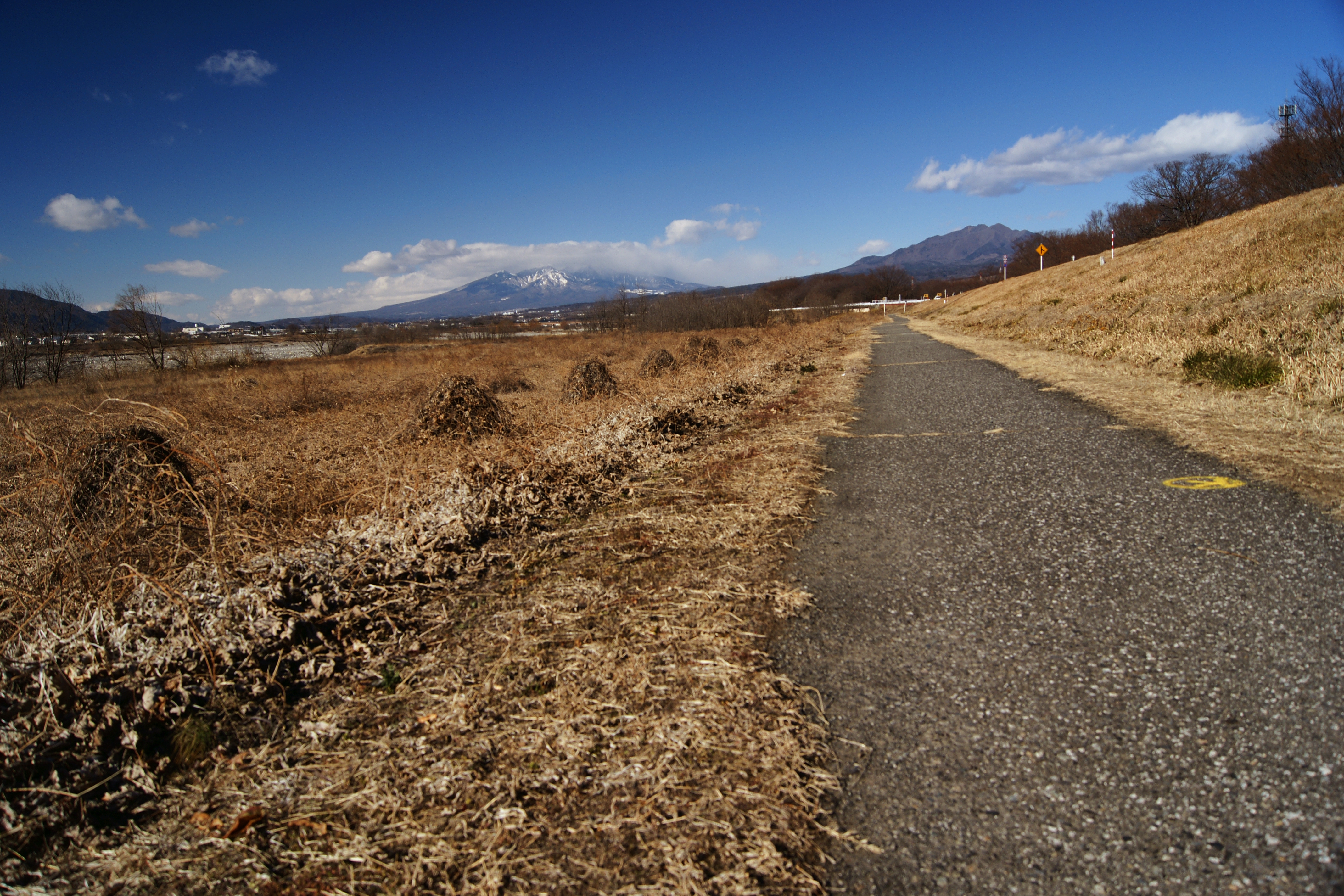 八ヶ岳