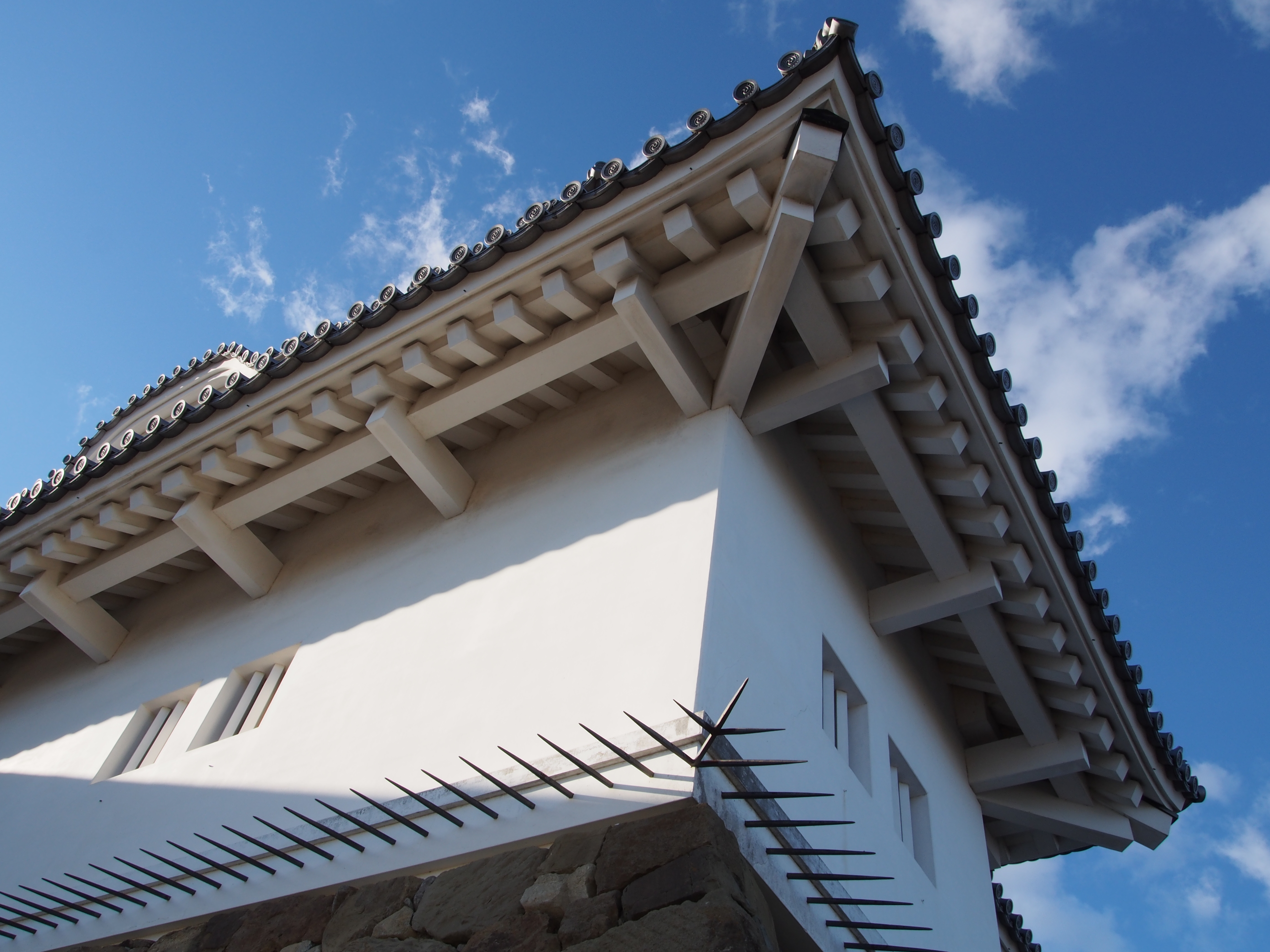 Shizuoka-jo , Shizuoka , Japan