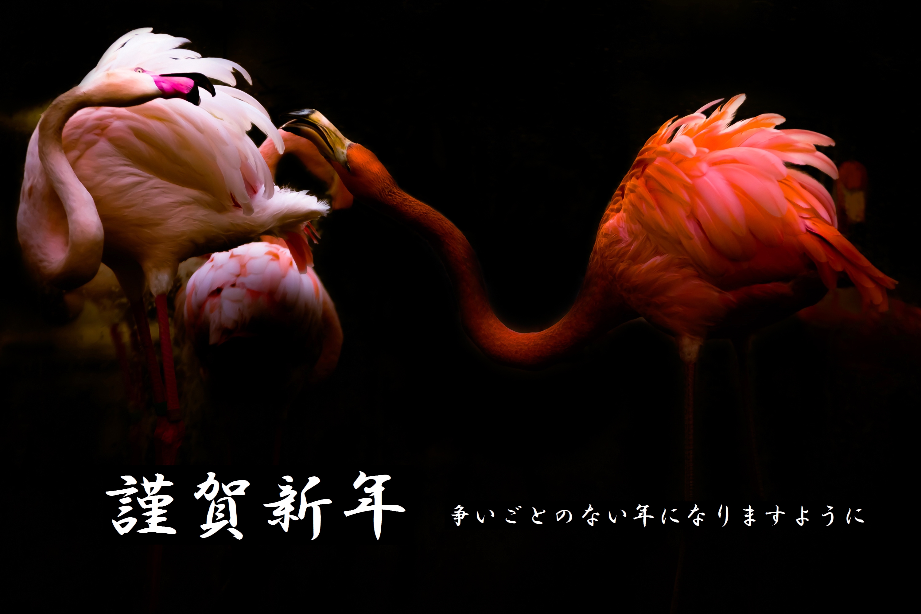 謹賀新年