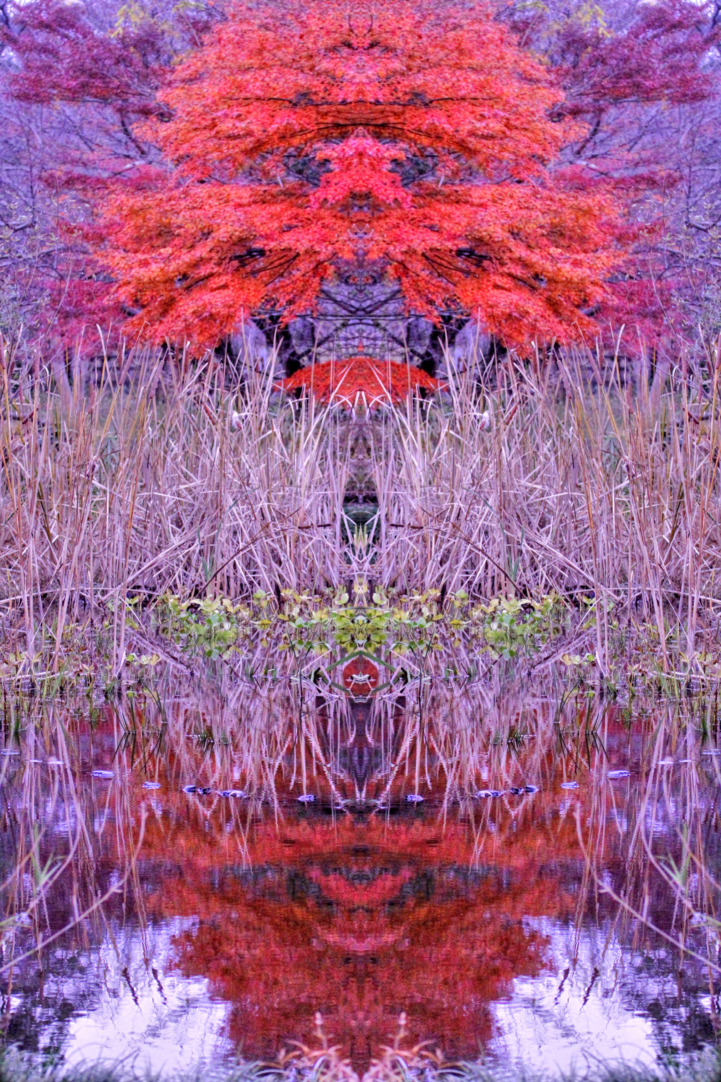 自然の神の遊び
