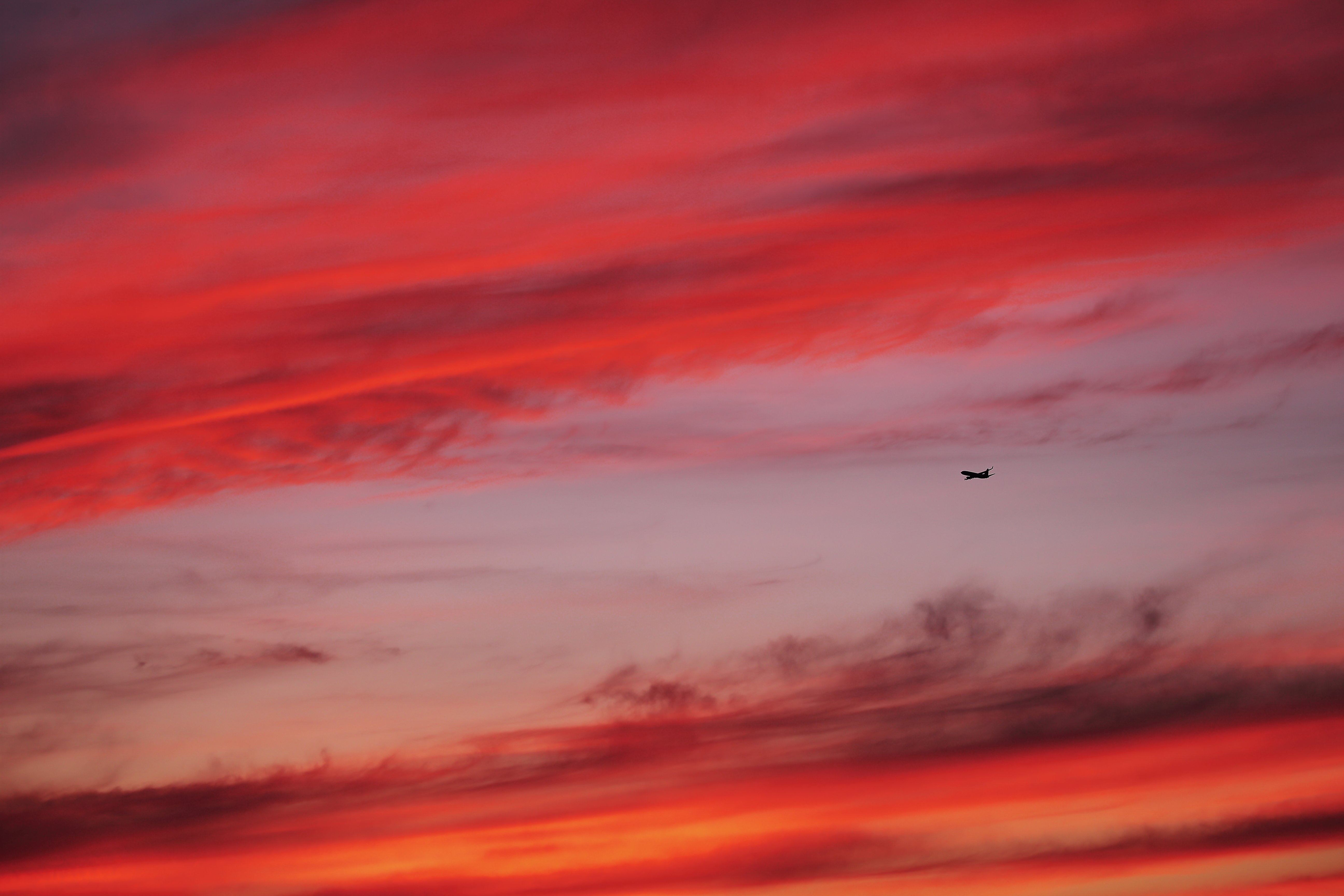 燃える空を行く