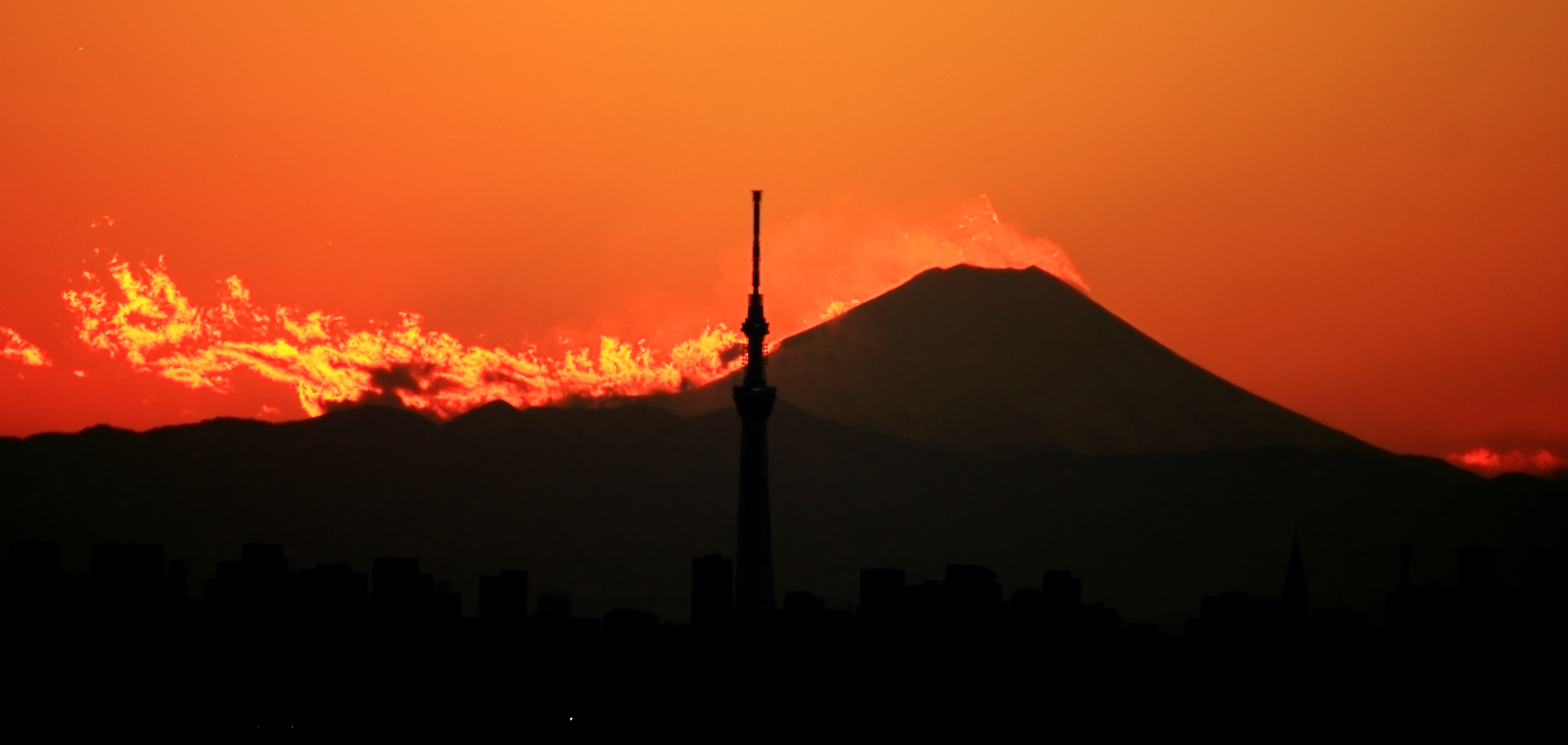 夕陽を浴びて
