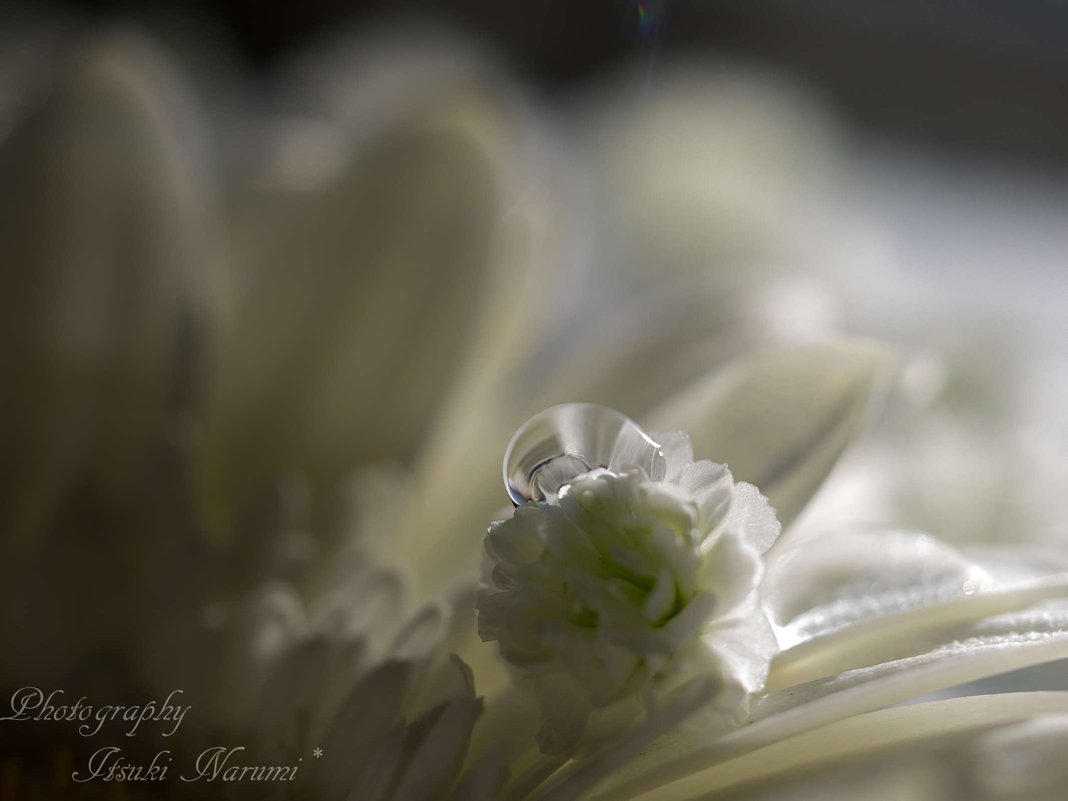 ”daybreak” ~ 夜明け~