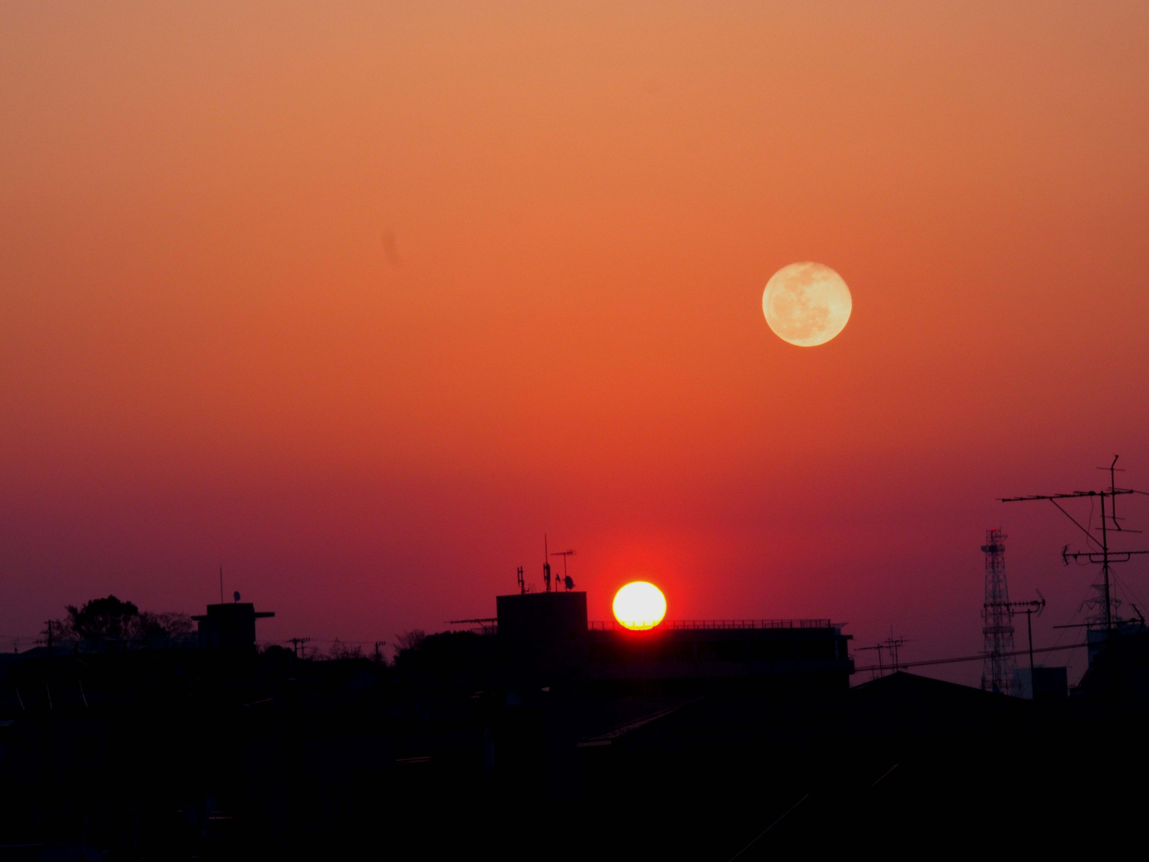 Good morning , and good night .