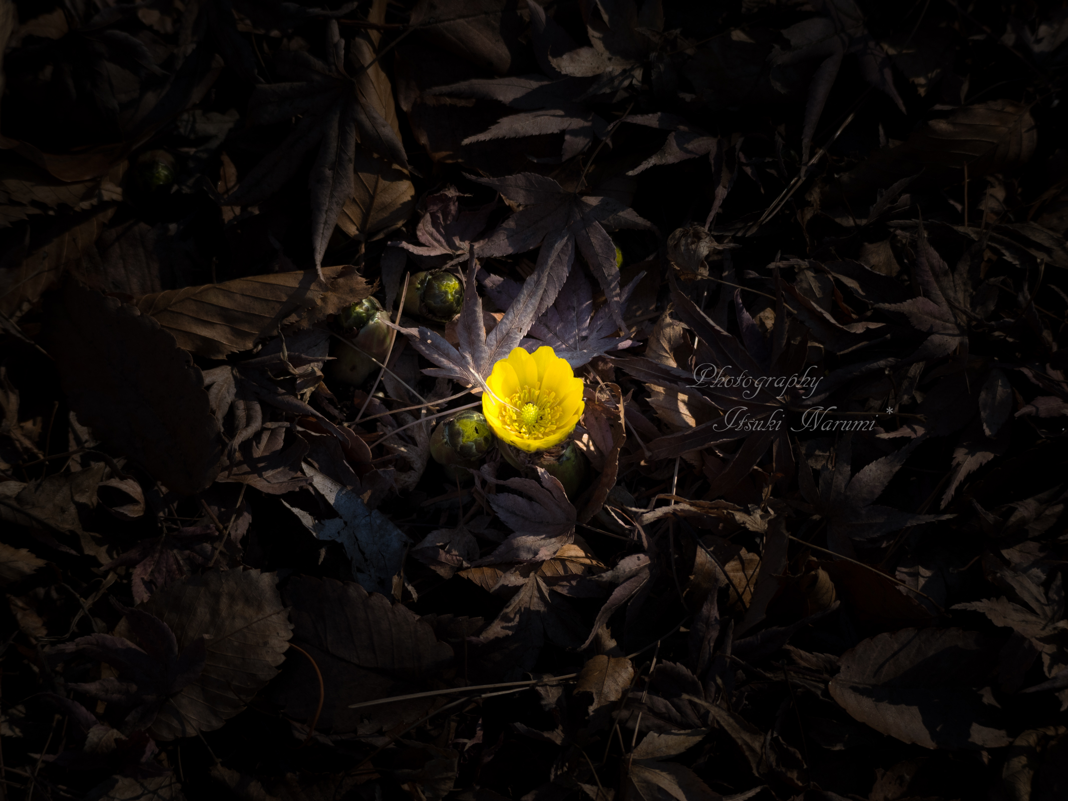 I’m not alone…