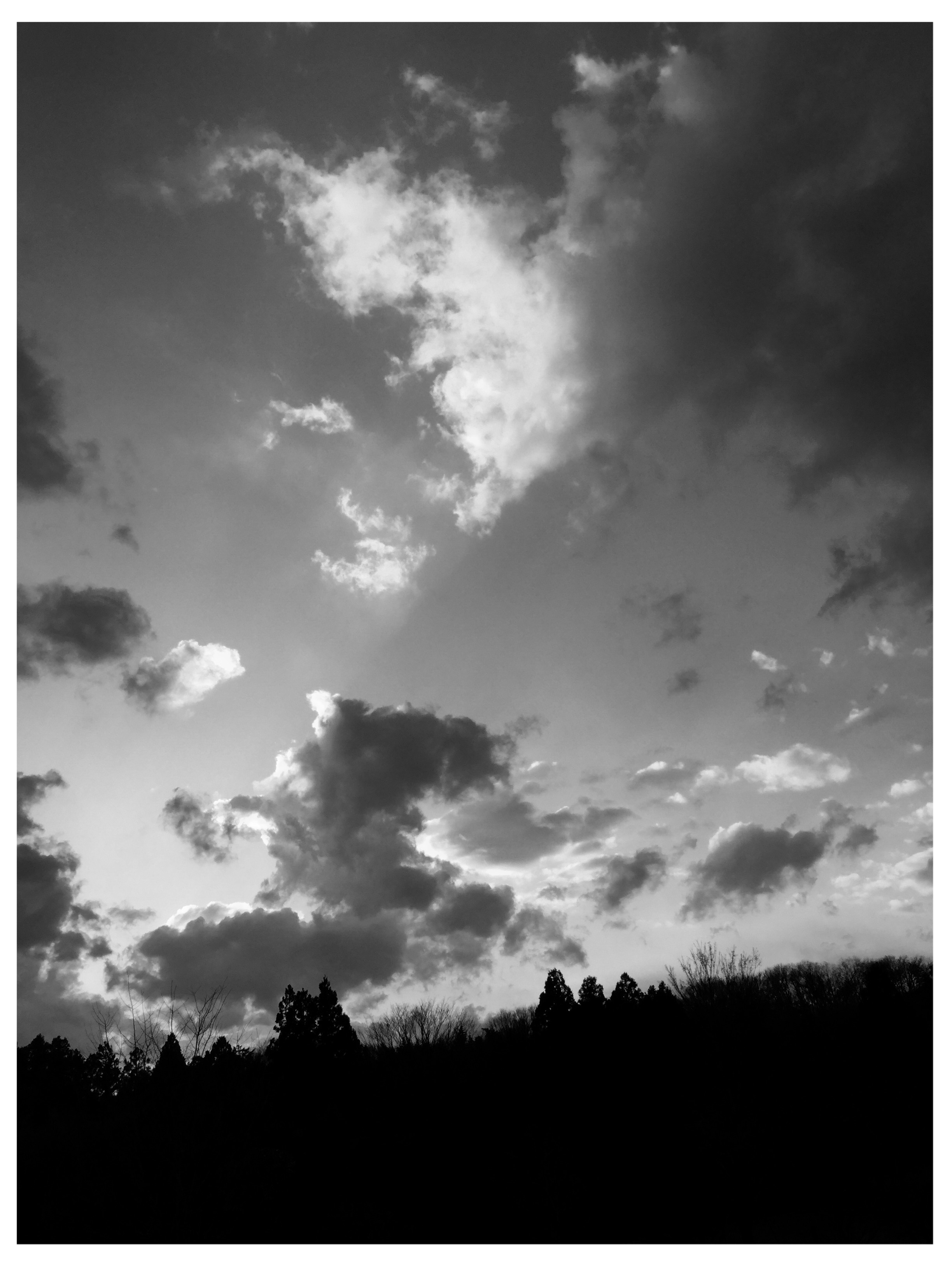 雲