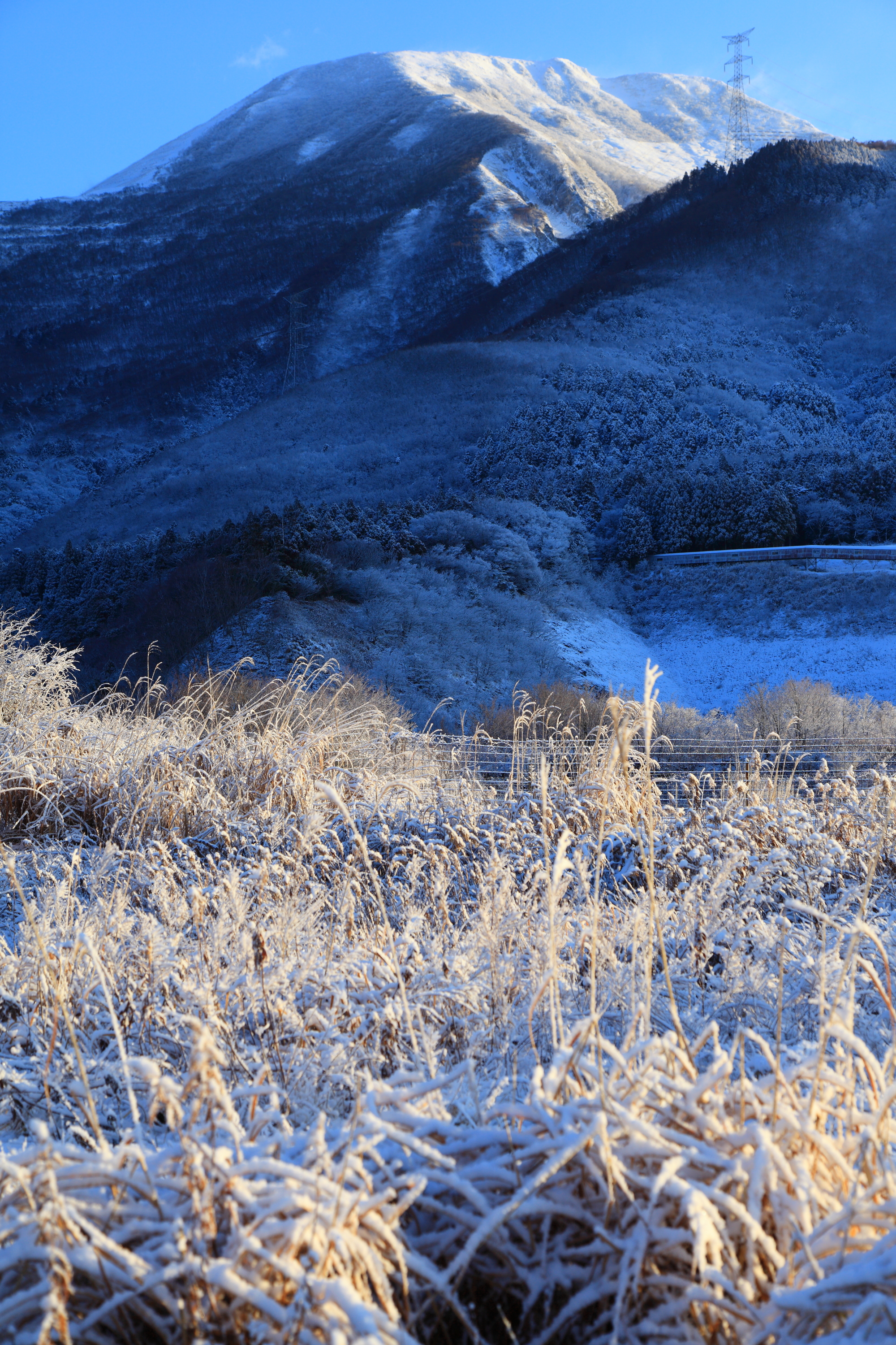 伊吹山麓の雪化粧