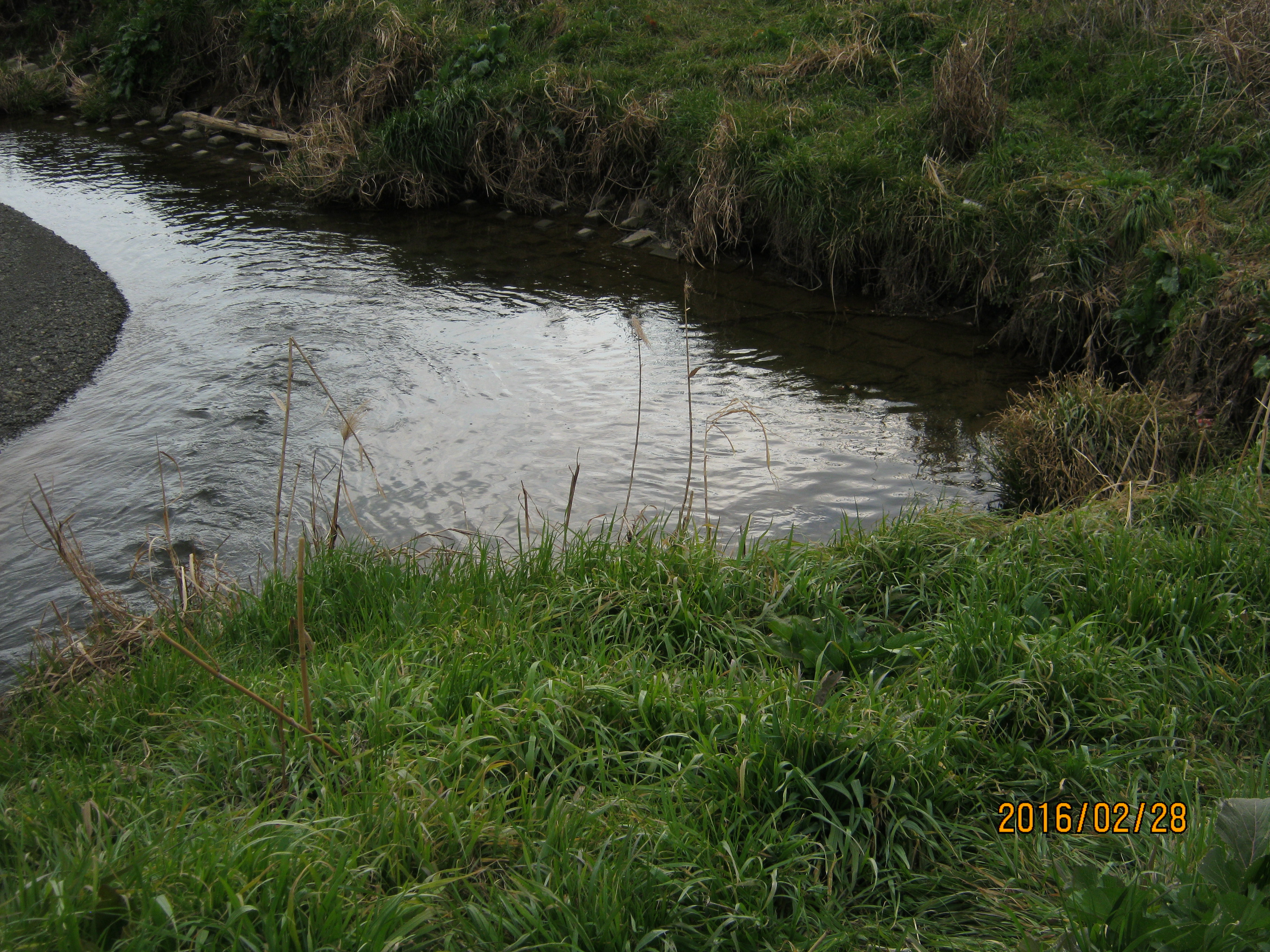 the riverun #1