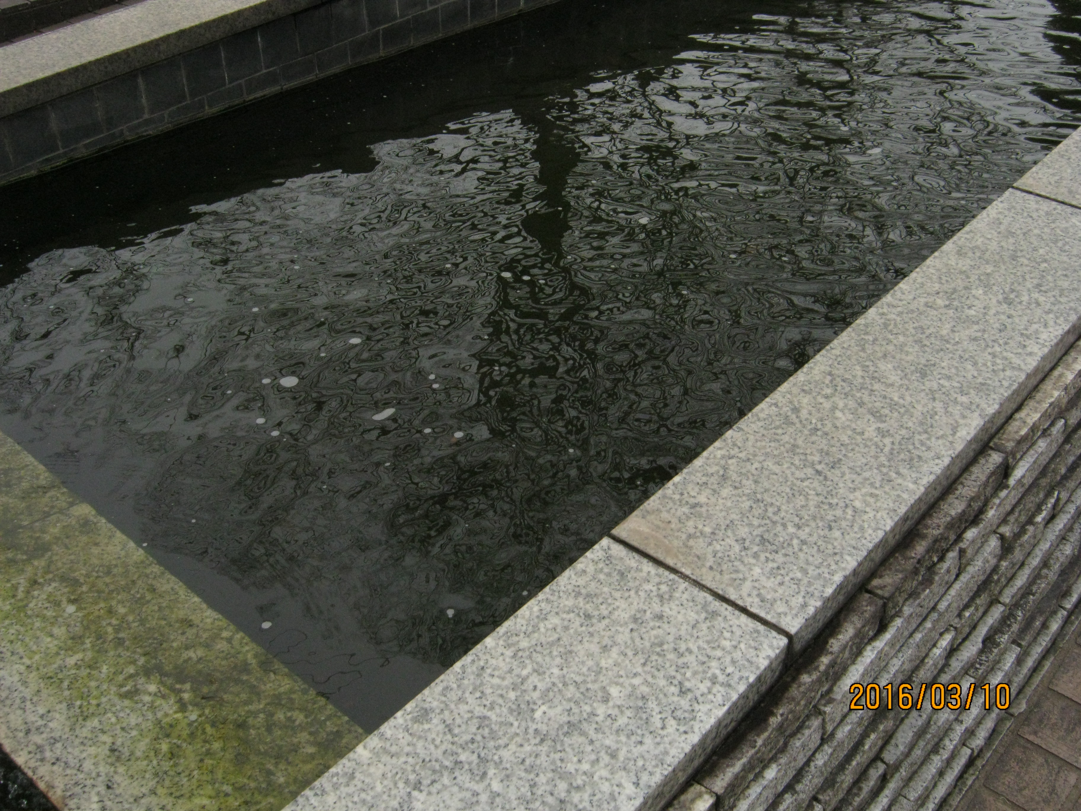 My Shonan Life #5