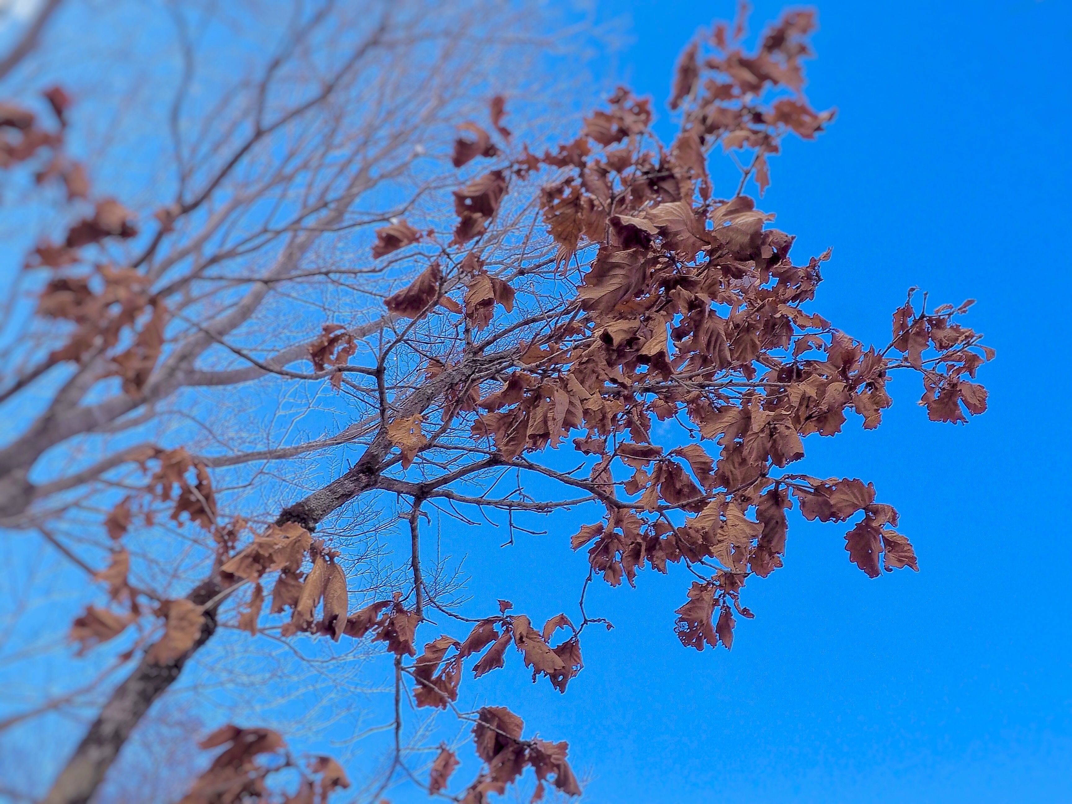 青空