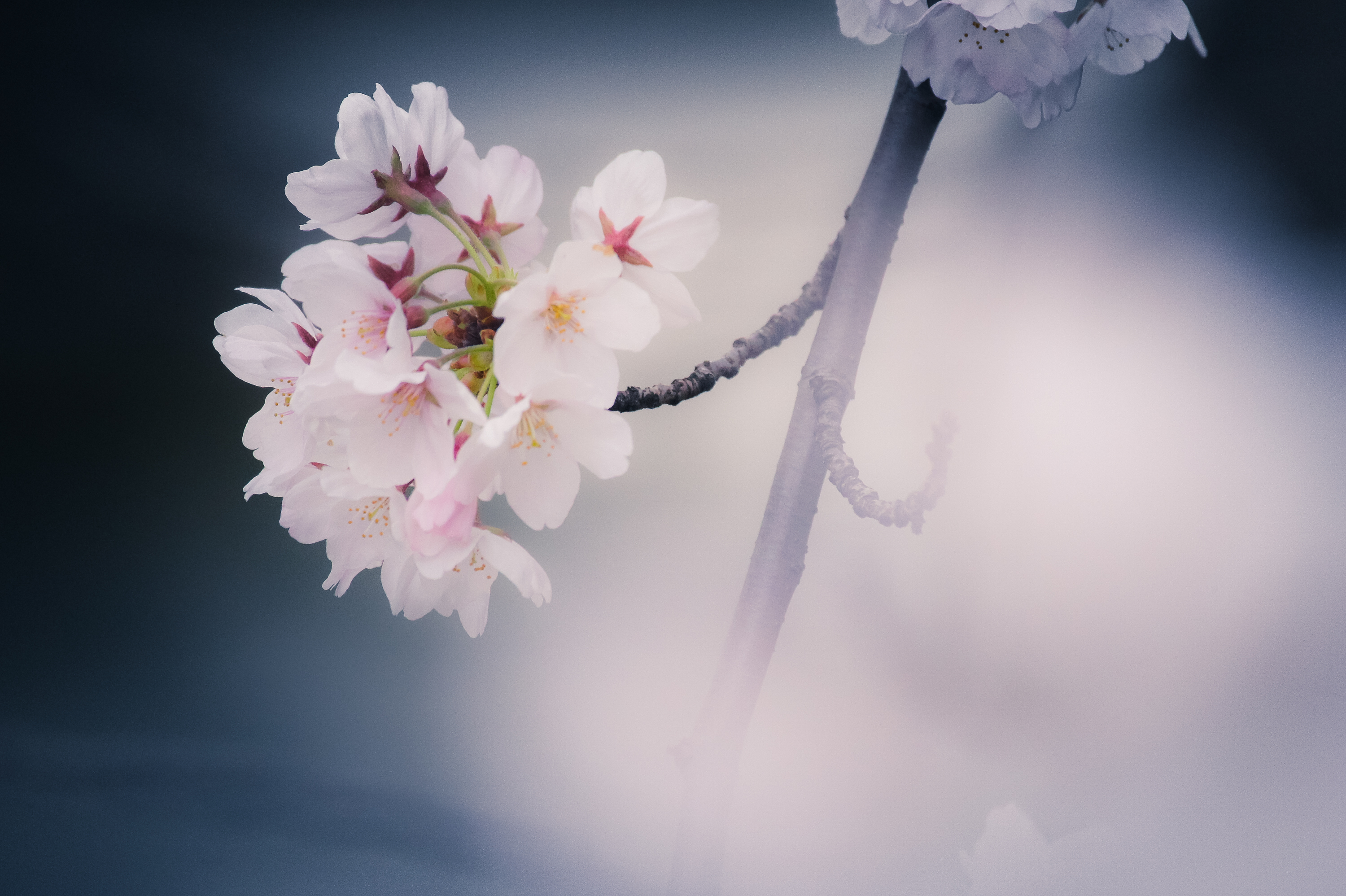 今、卒業の時・・・