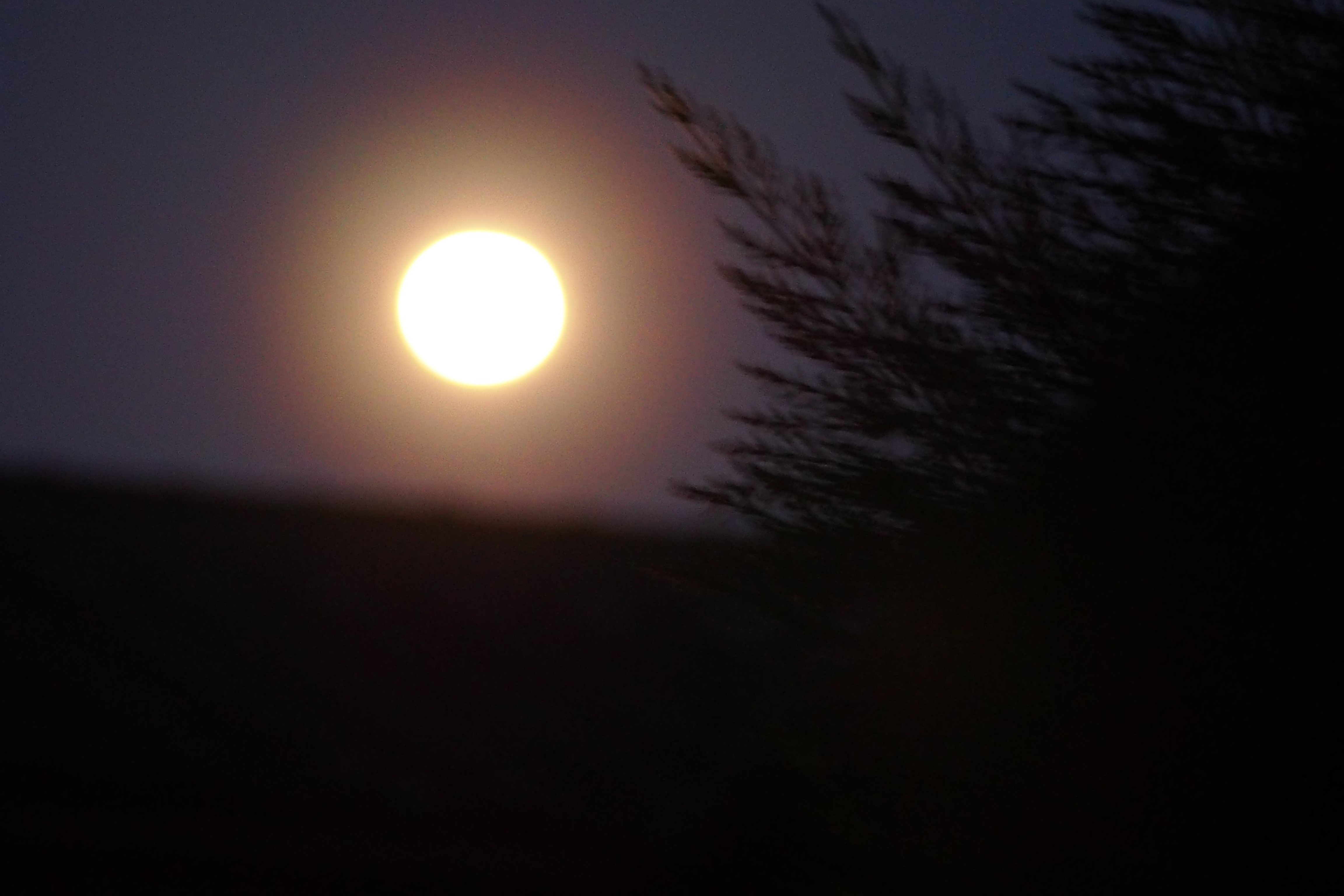 今夜の月