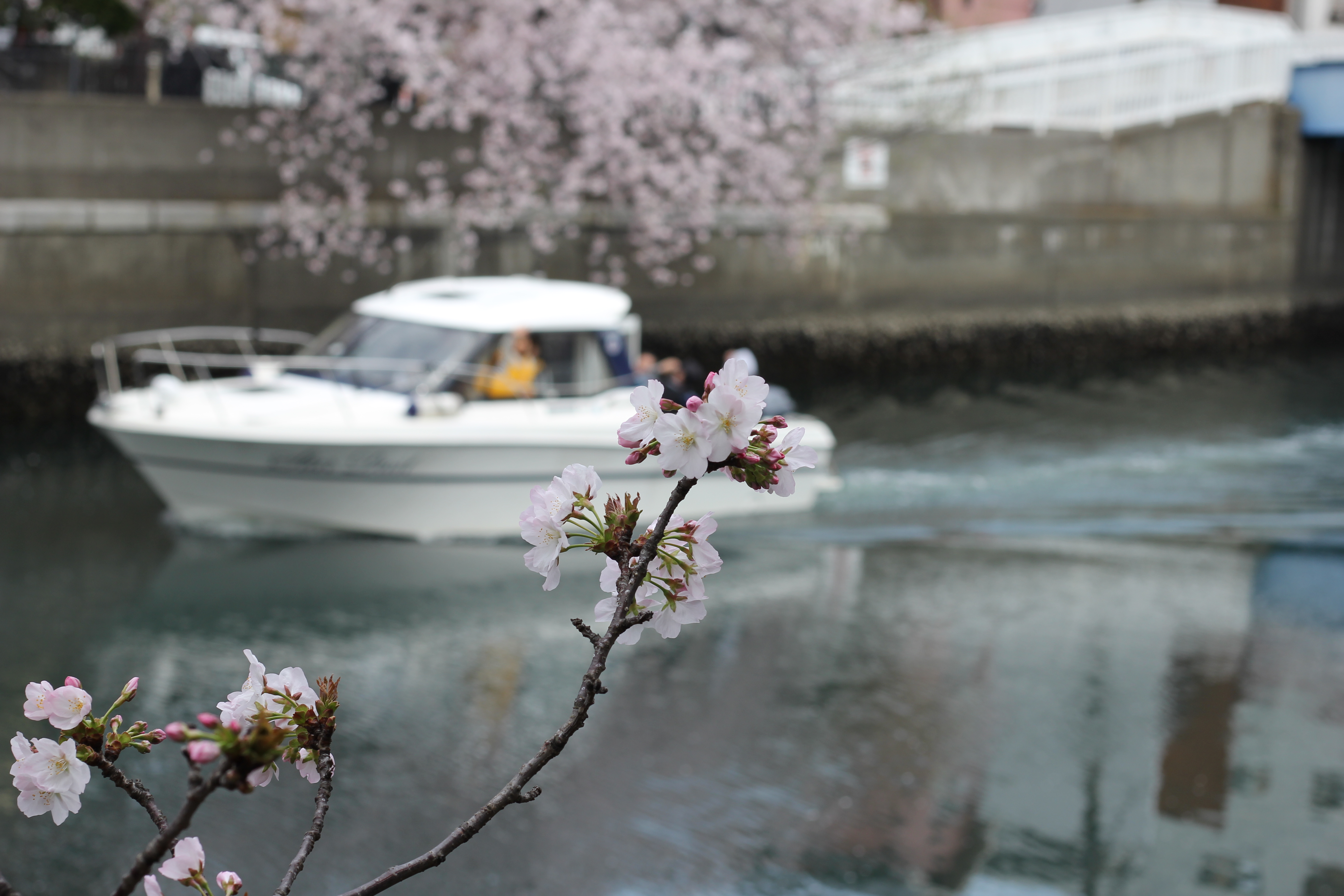 ちょっと贅沢に