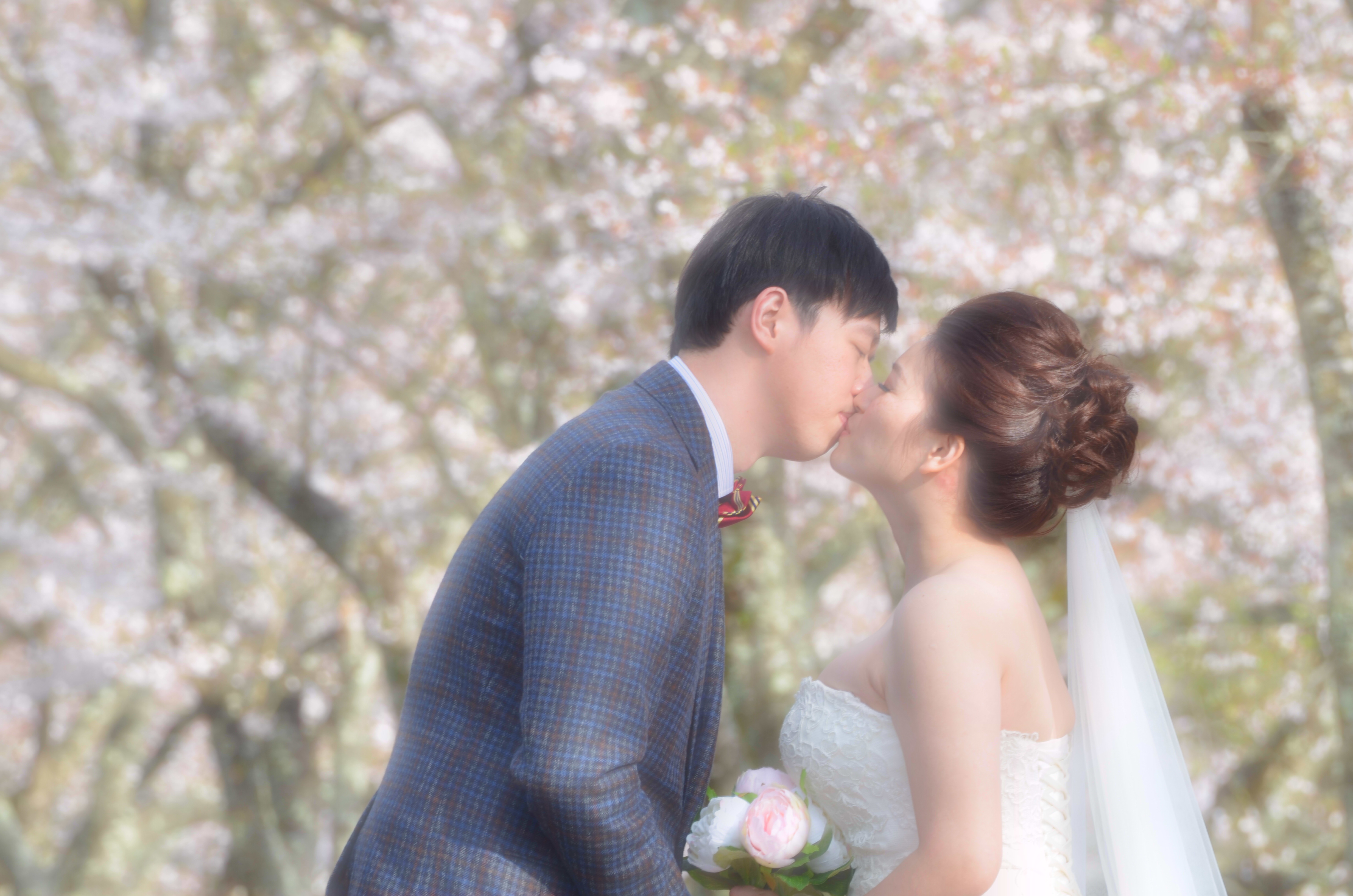 愛と桜