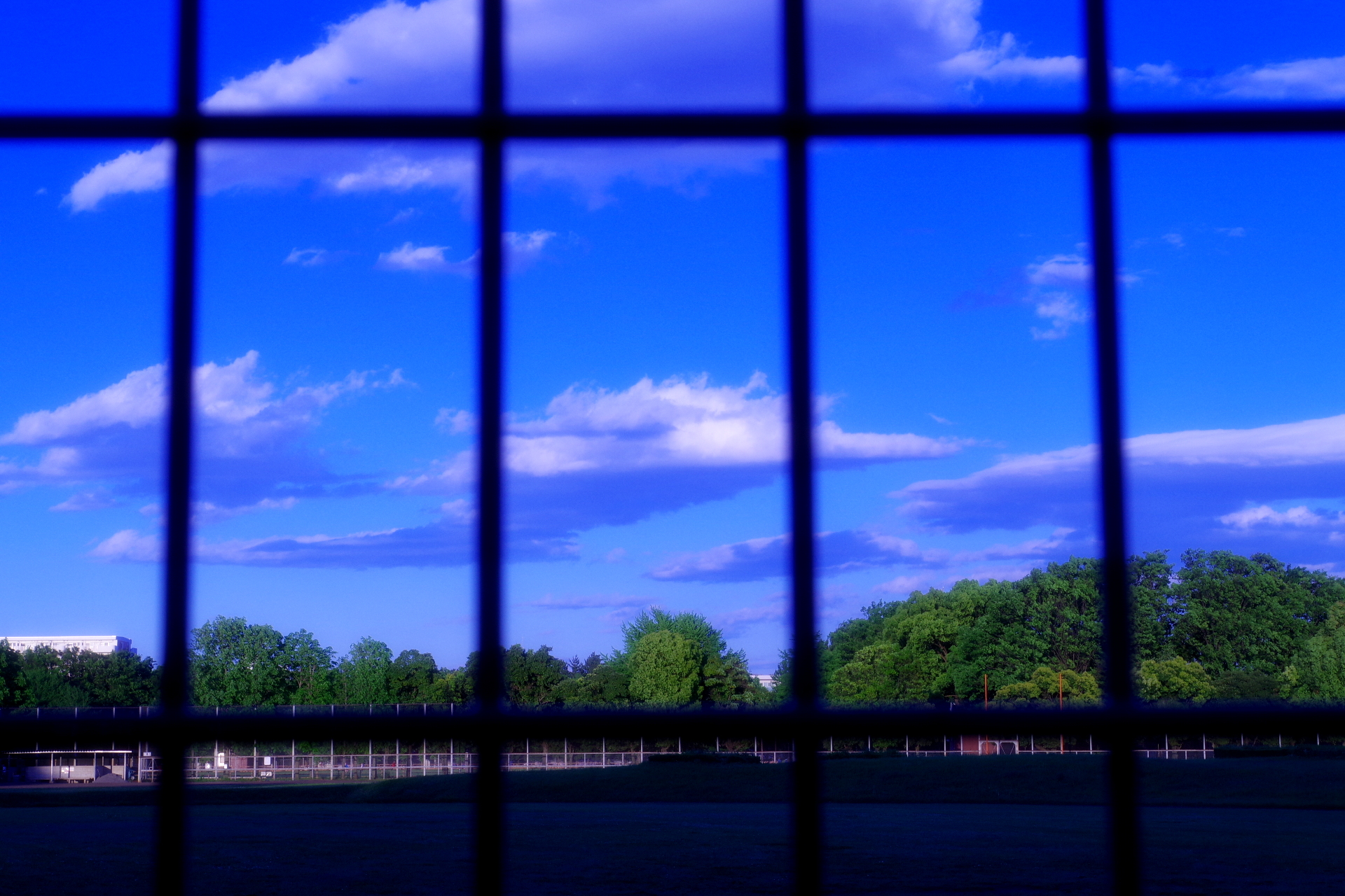 フェンス越しの風景