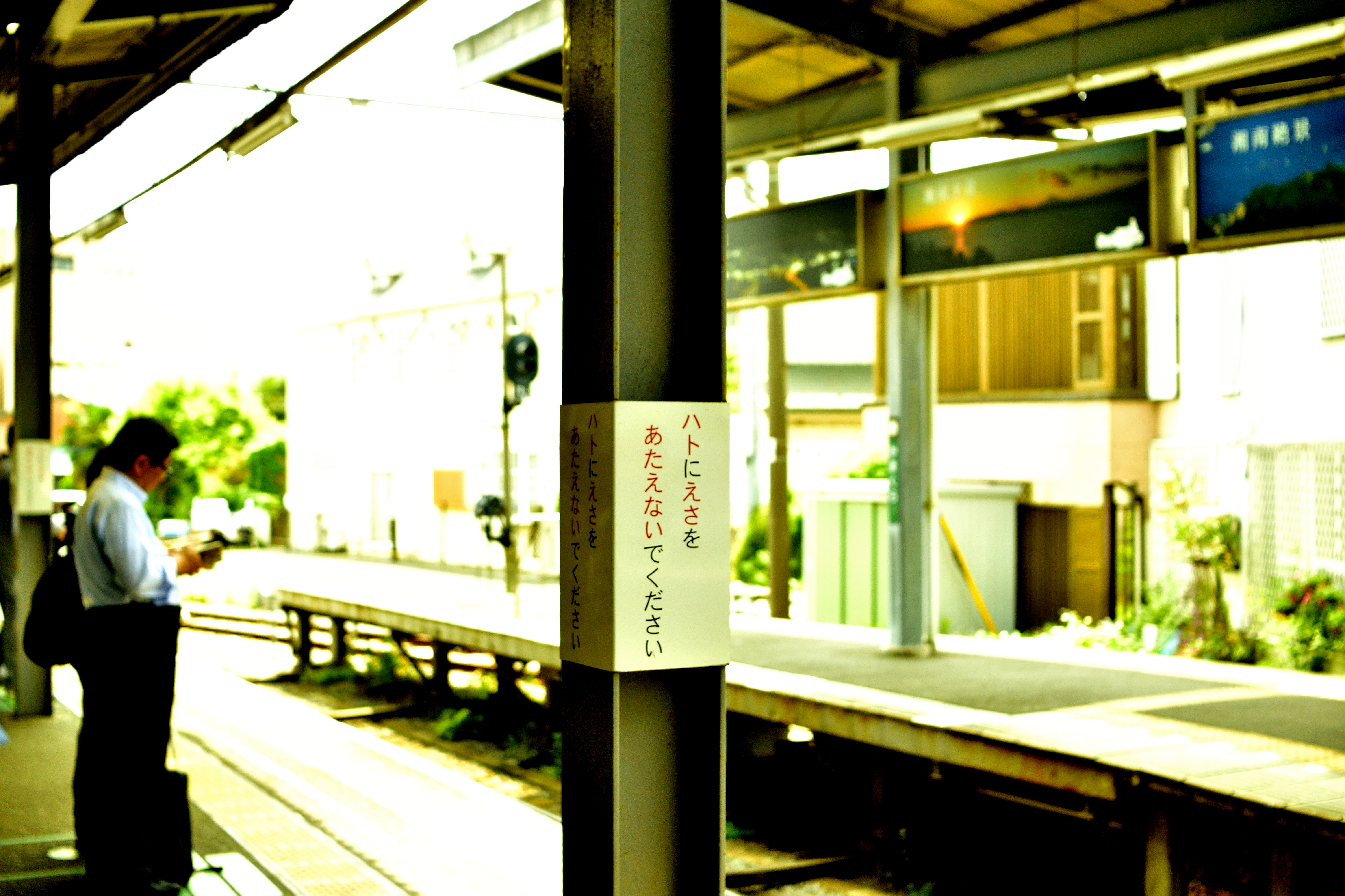 “ハト”に”えさ”を”あたえない”でください
