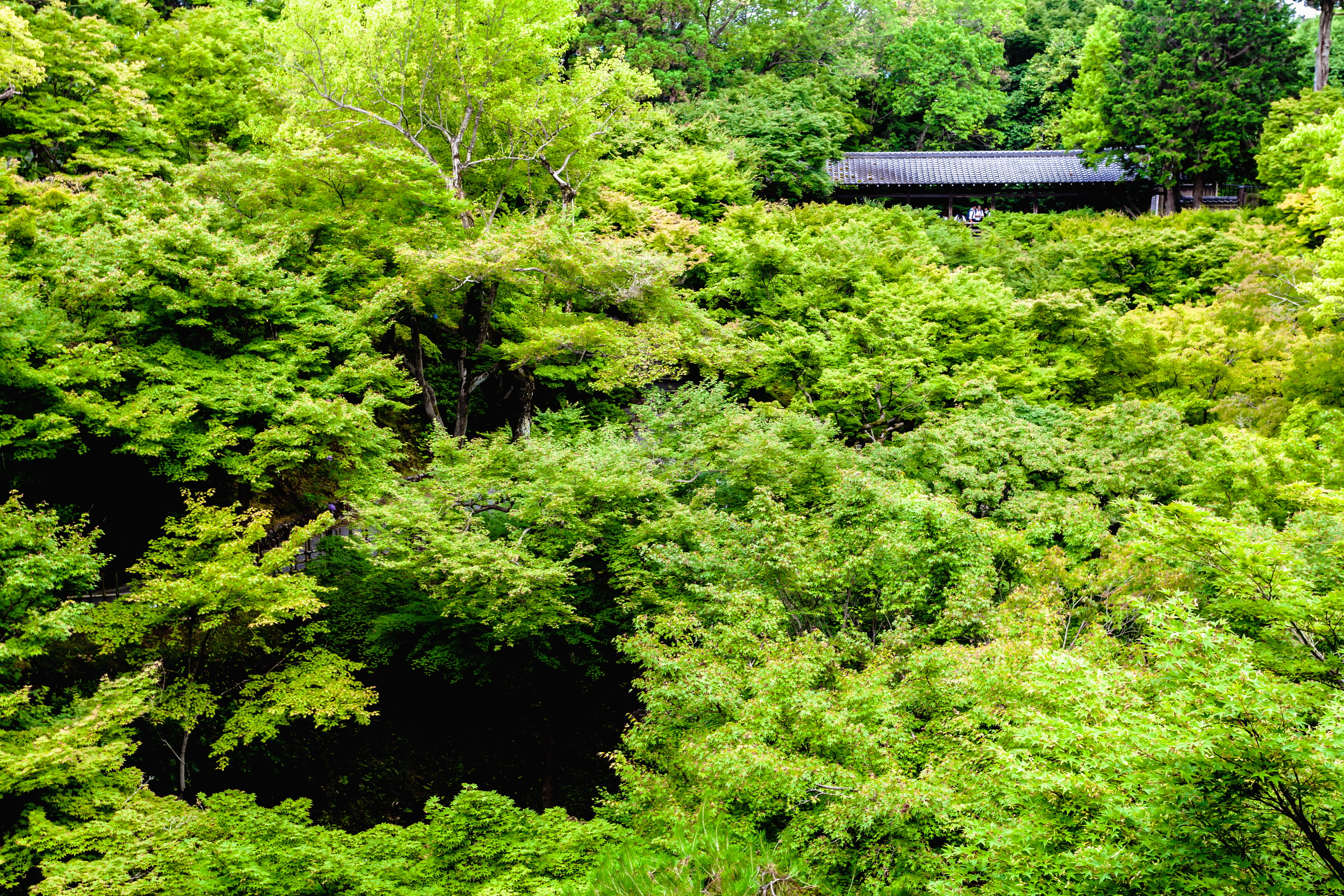 季節の通り道