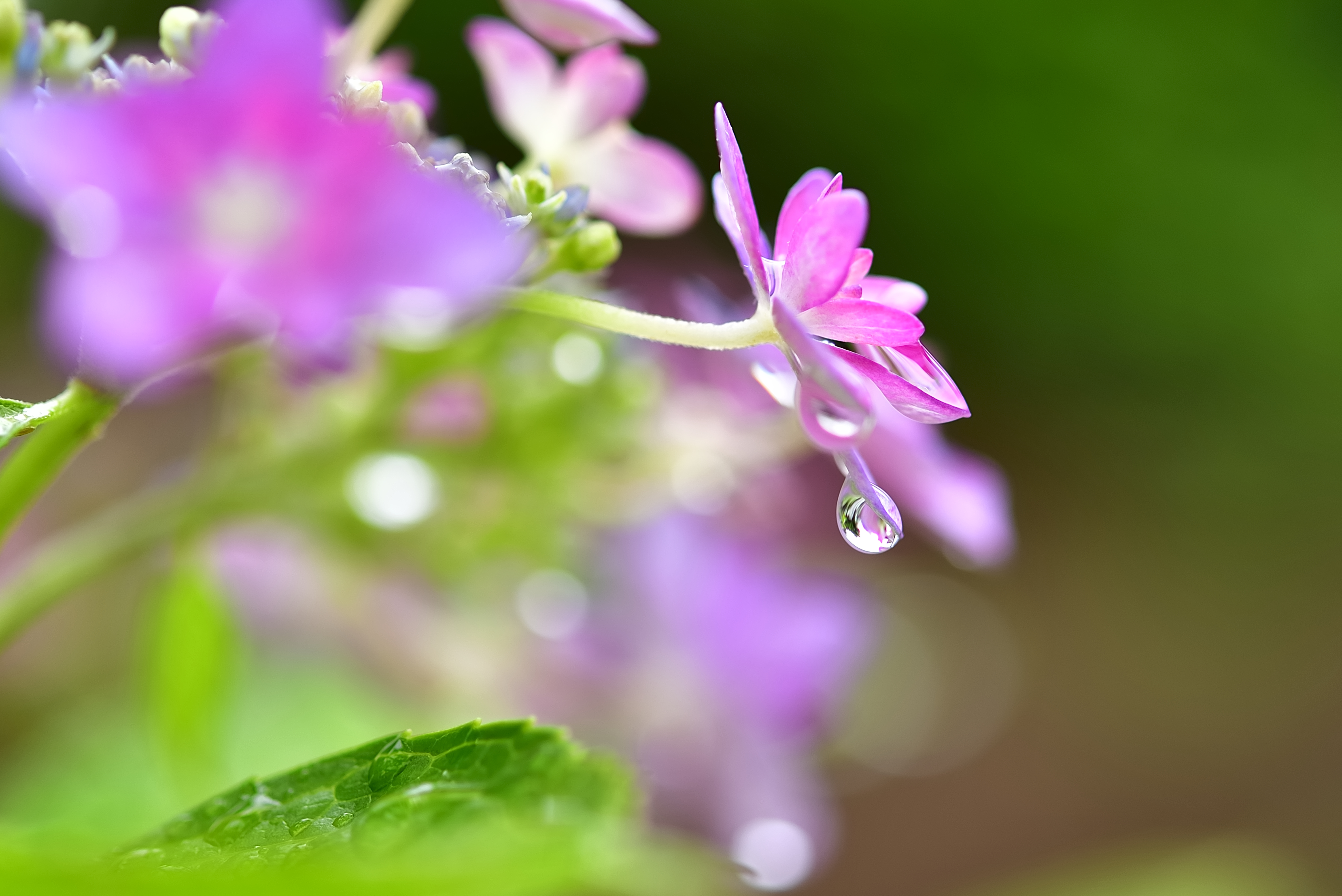 雨上がり
