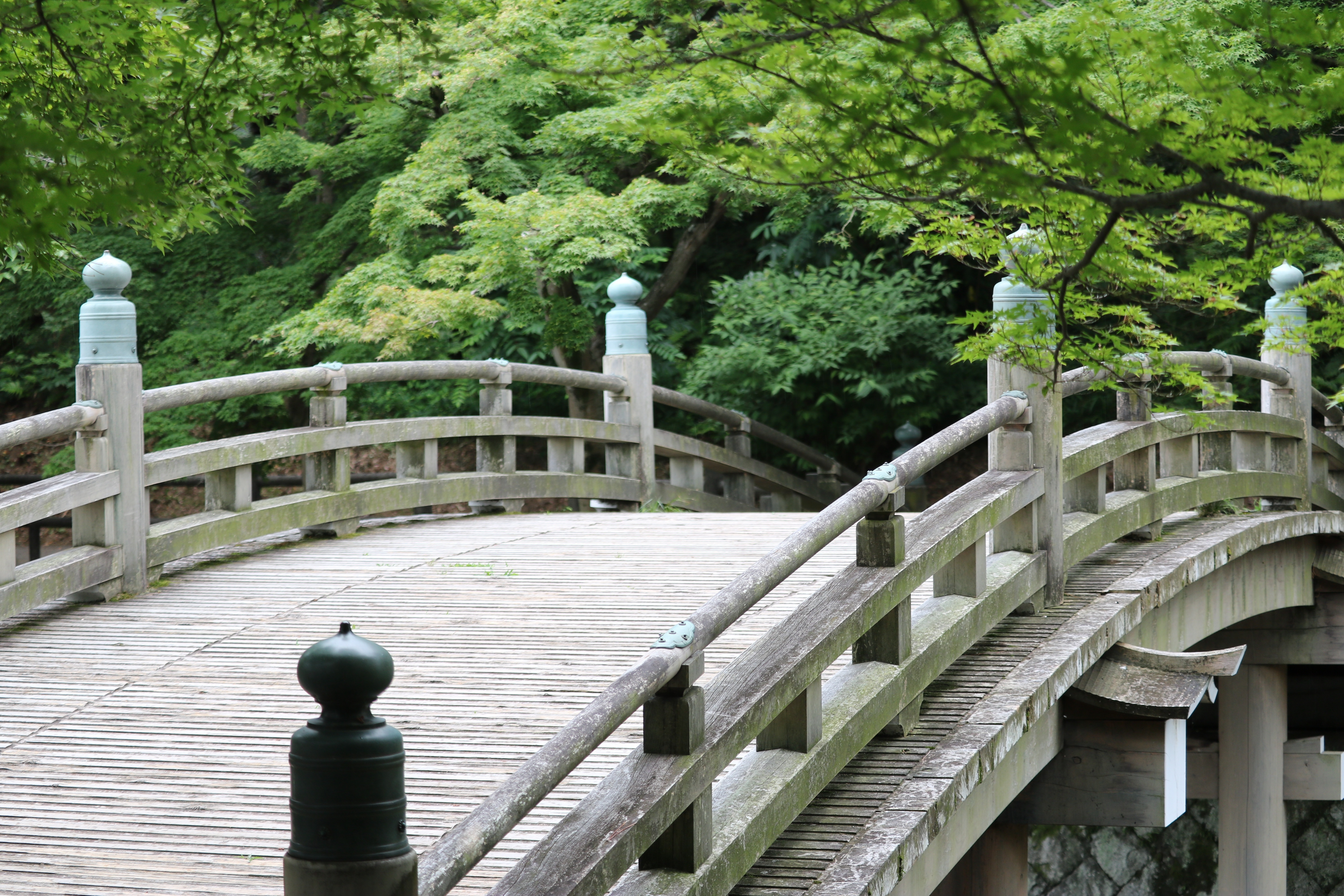 橋