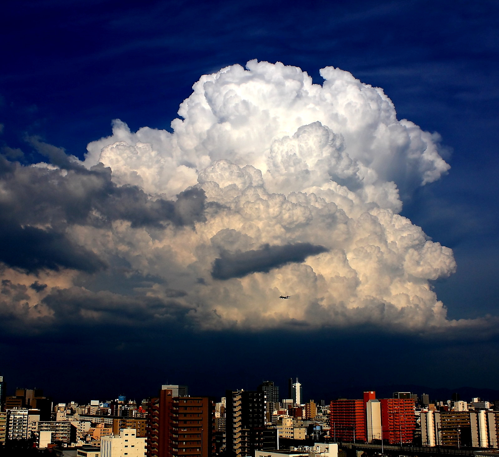 入道雲②